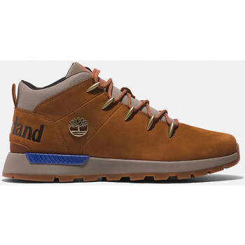 Timberland  Sneaker Sptk mid lace sneaker günstig online kaufen