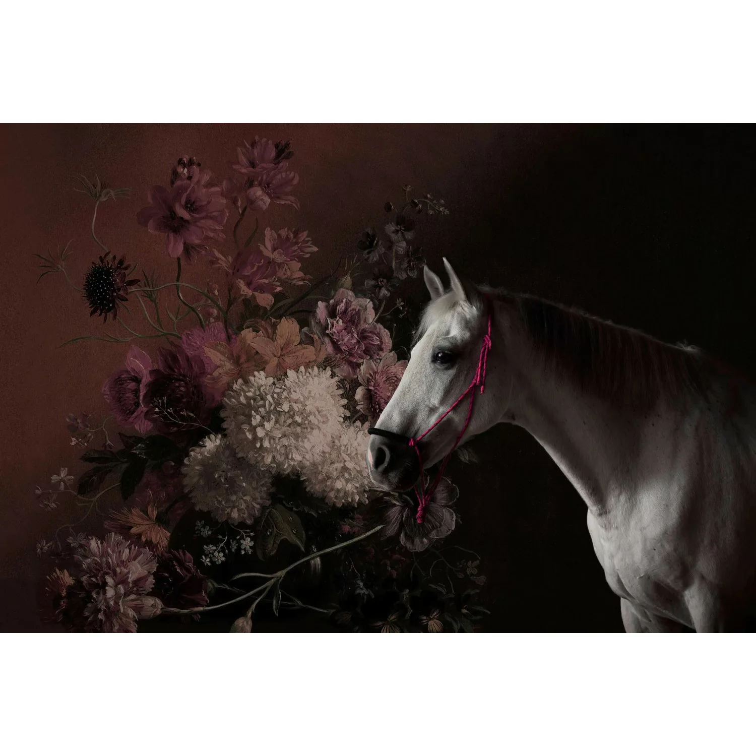 Fototapete Pferd Blumen Blumenbouquet Weiß Schwarz 4,00 m x 2,70 m FSC® günstig online kaufen