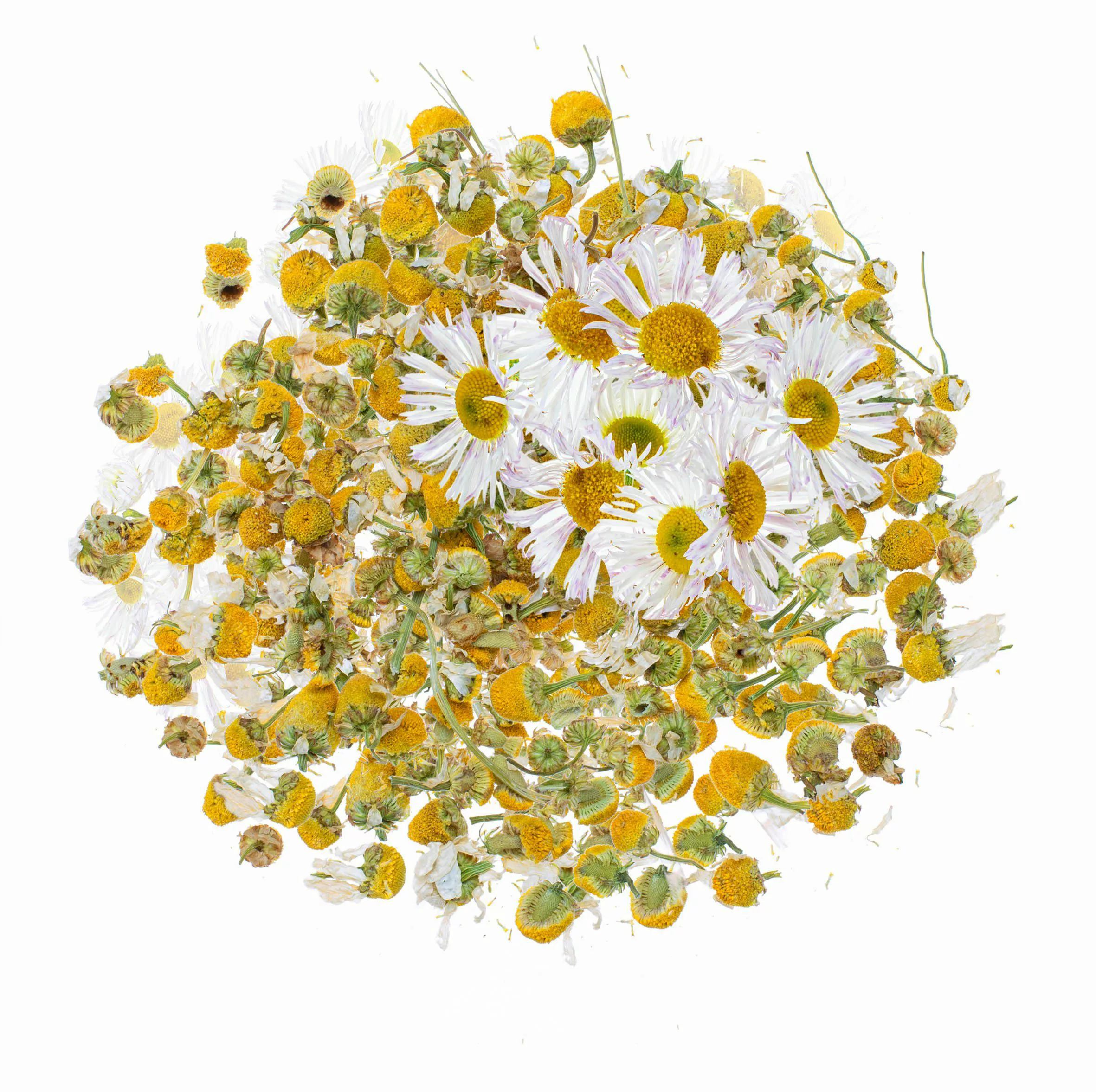 Kunstpflanze Blüten, Glorex, getrocknet 2 g günstig online kaufen