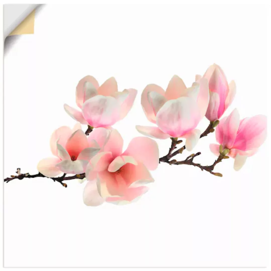 Artland Wandbild »Magnolie«, Blumen, (1 St.), als Leinwandbild, Poster, Wan günstig online kaufen