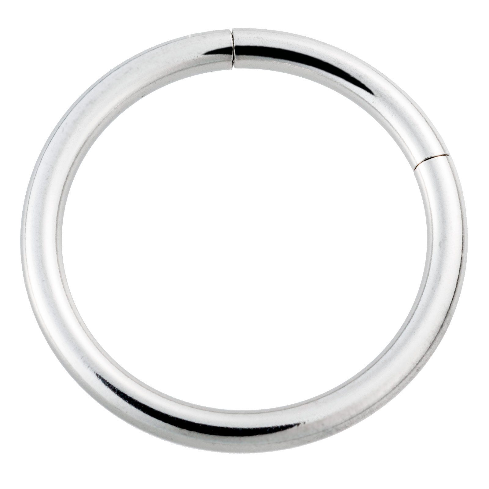 Paletti Single-Creole Segmentring Scharnier Klicker Piercing günstig online kaufen