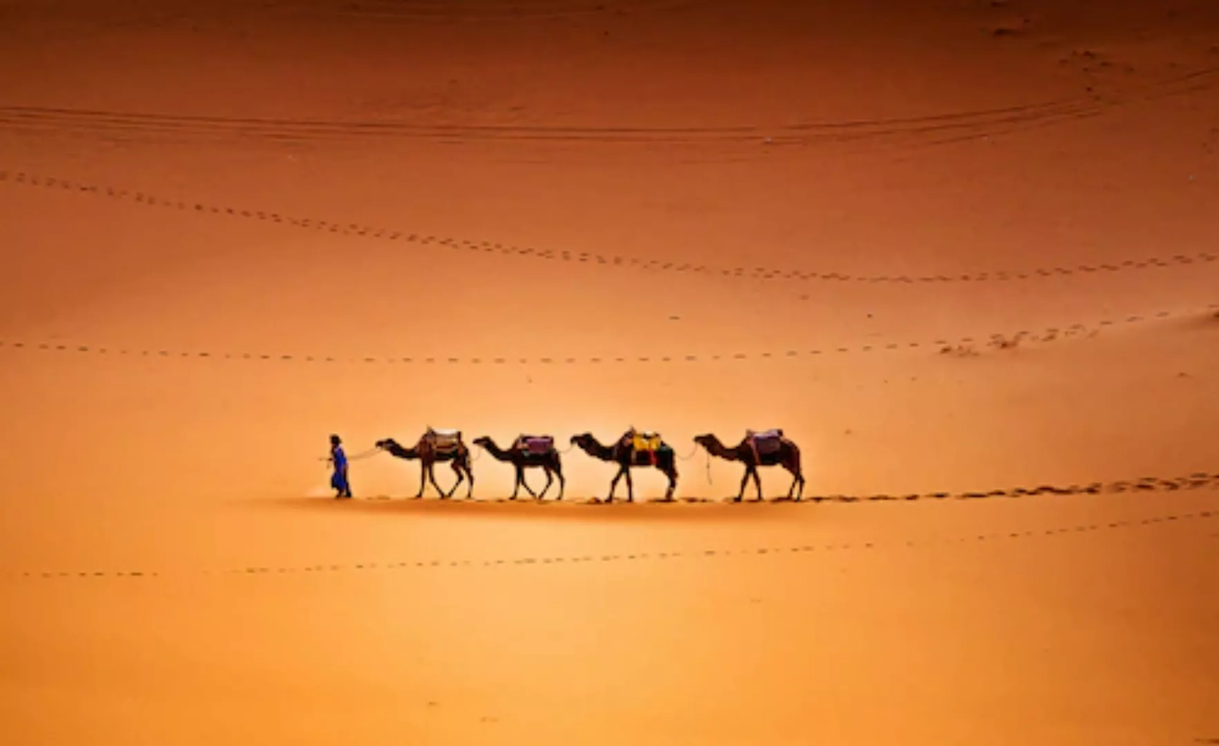 Papermoon Fototapete »kamele in Wüste« günstig online kaufen