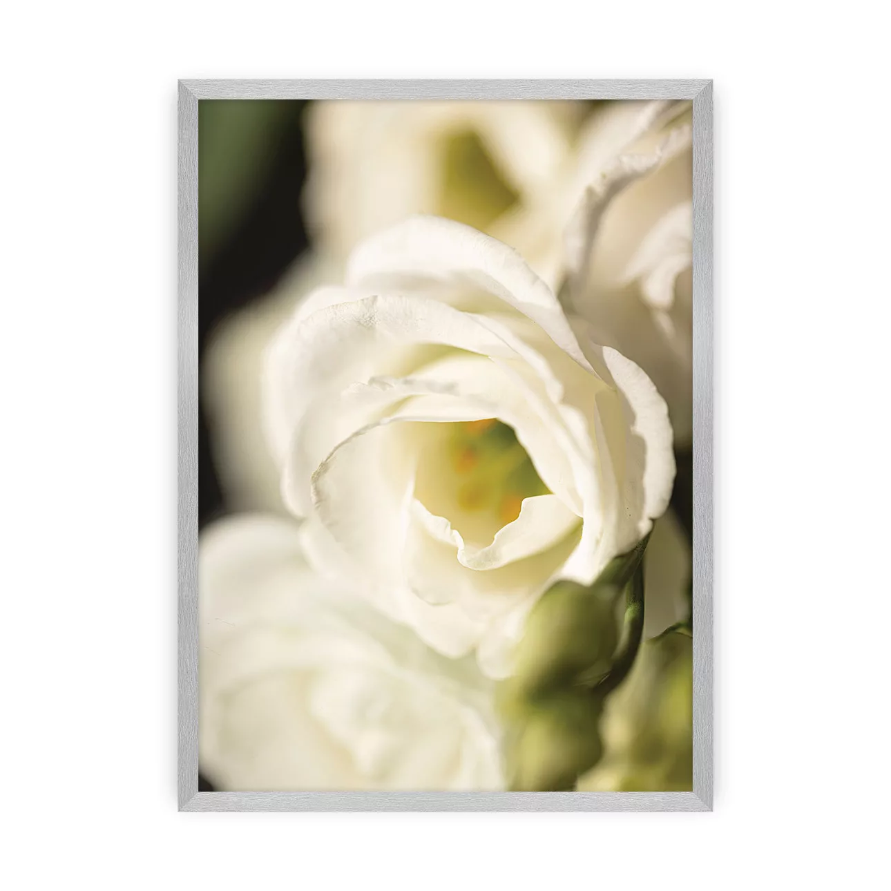 Poster Flower Wall, 21 x  30 cm, Rahmen wählen: silber günstig online kaufen