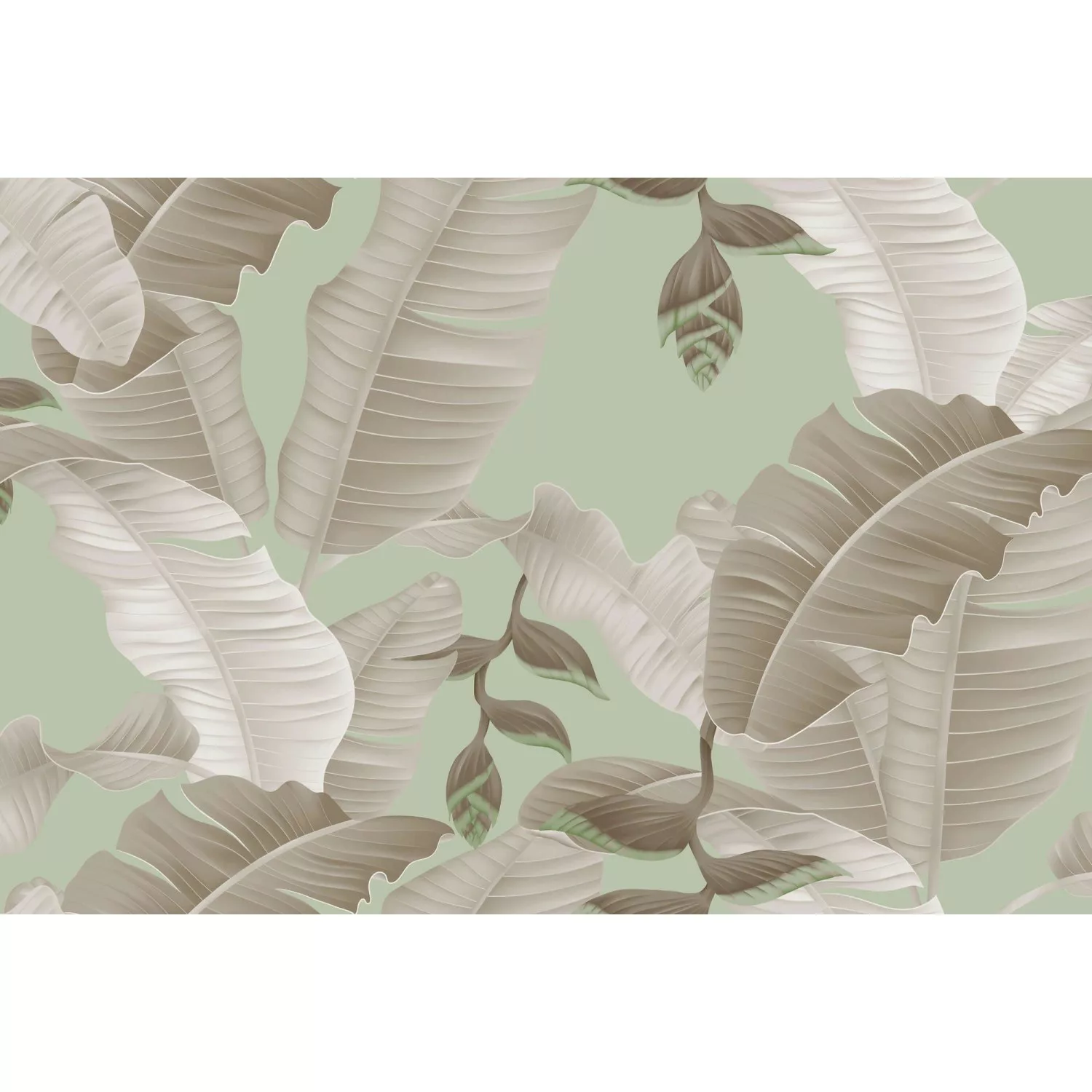 Fototapete Palmen-Blätter Grau Grün Grau 4,00 m x 2,70 m FSC® günstig online kaufen