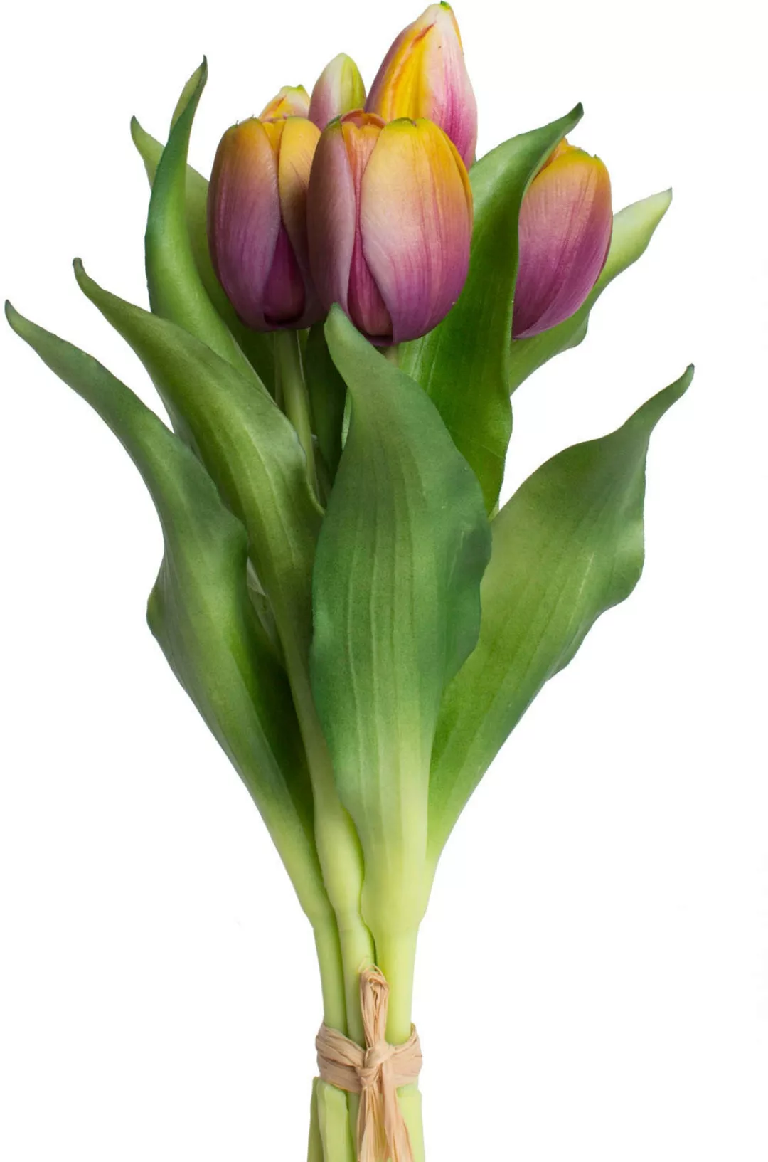 Botanic-Haus Kunstblume "Willa", Tulpenbündel im 7er-Set günstig online kaufen