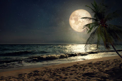 Papermoon Fototapete »STRAND-NATUR PALMEN MEER DÜNEN MOND PALME LANDSCHAFT« günstig online kaufen