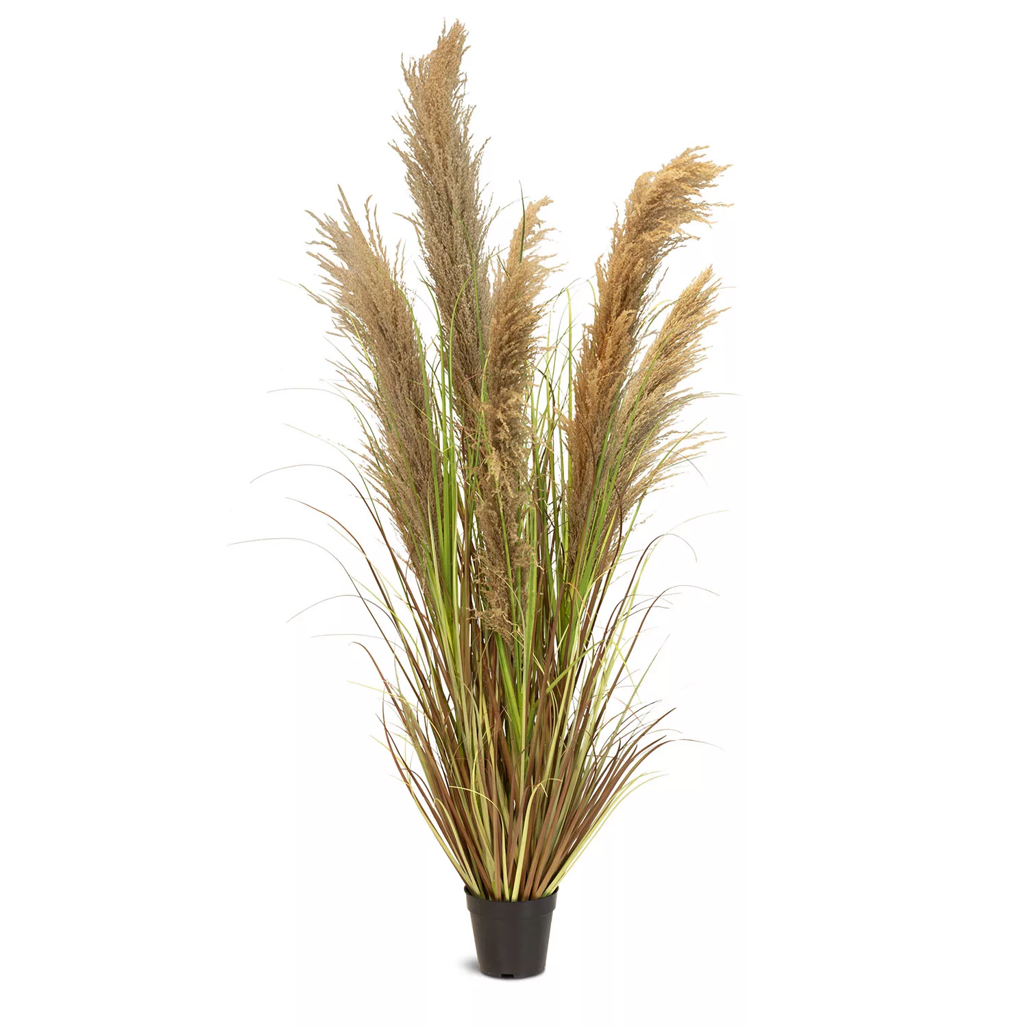 Cortaderia - Pampasgras Kunstpflanze, Höhe 150 cm günstig online kaufen