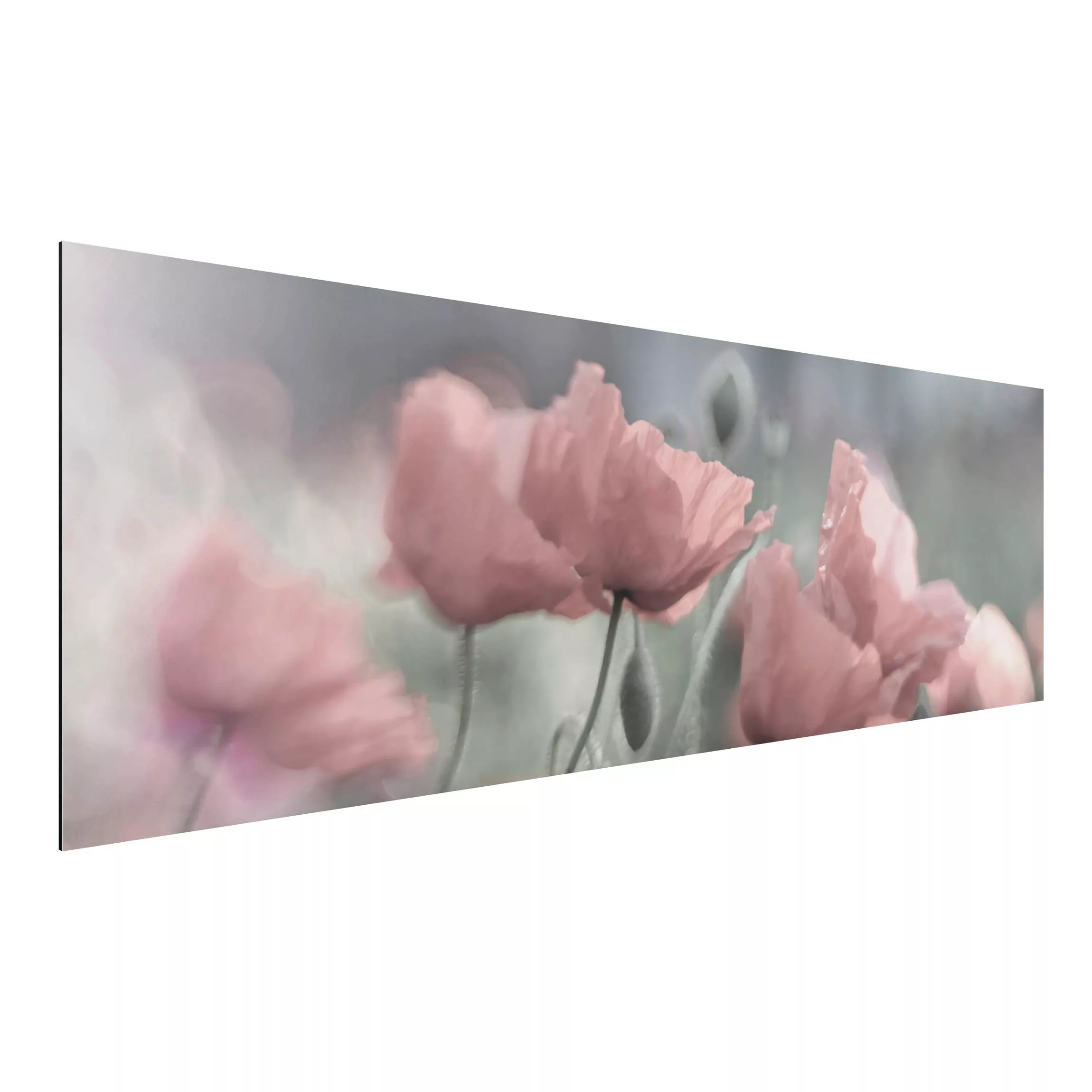 Alu-Dibond Bild Blumen - Panorama Malerische Mohnblumen günstig online kaufen