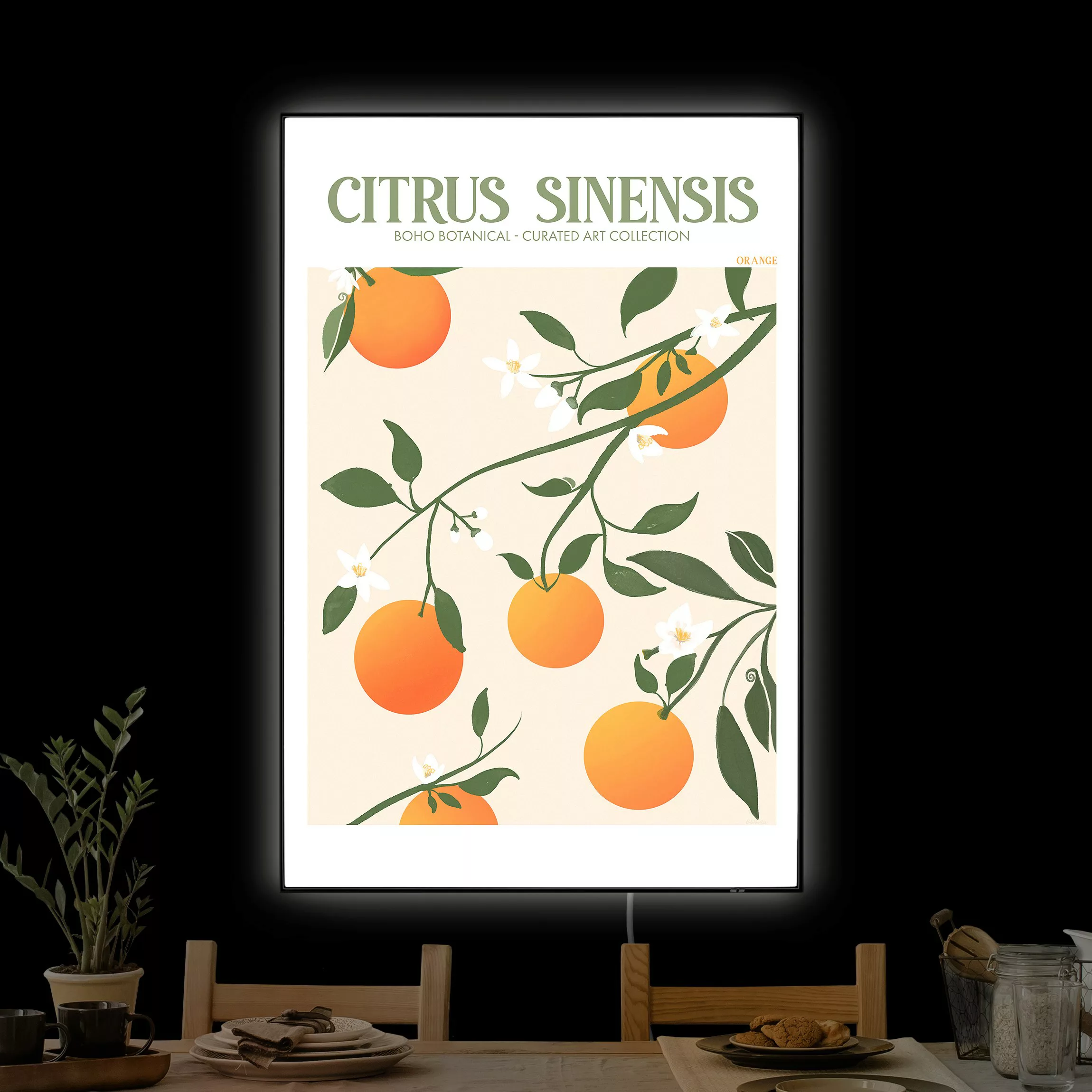 LED-Wechselbild Citrus Sinensis günstig online kaufen