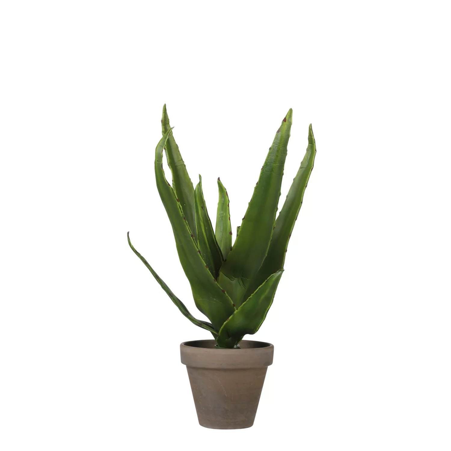 Mica Decorations Kunstpflanze Aloe Vera im Blumentopf Stan Ø 16 cm x 30 cm günstig online kaufen