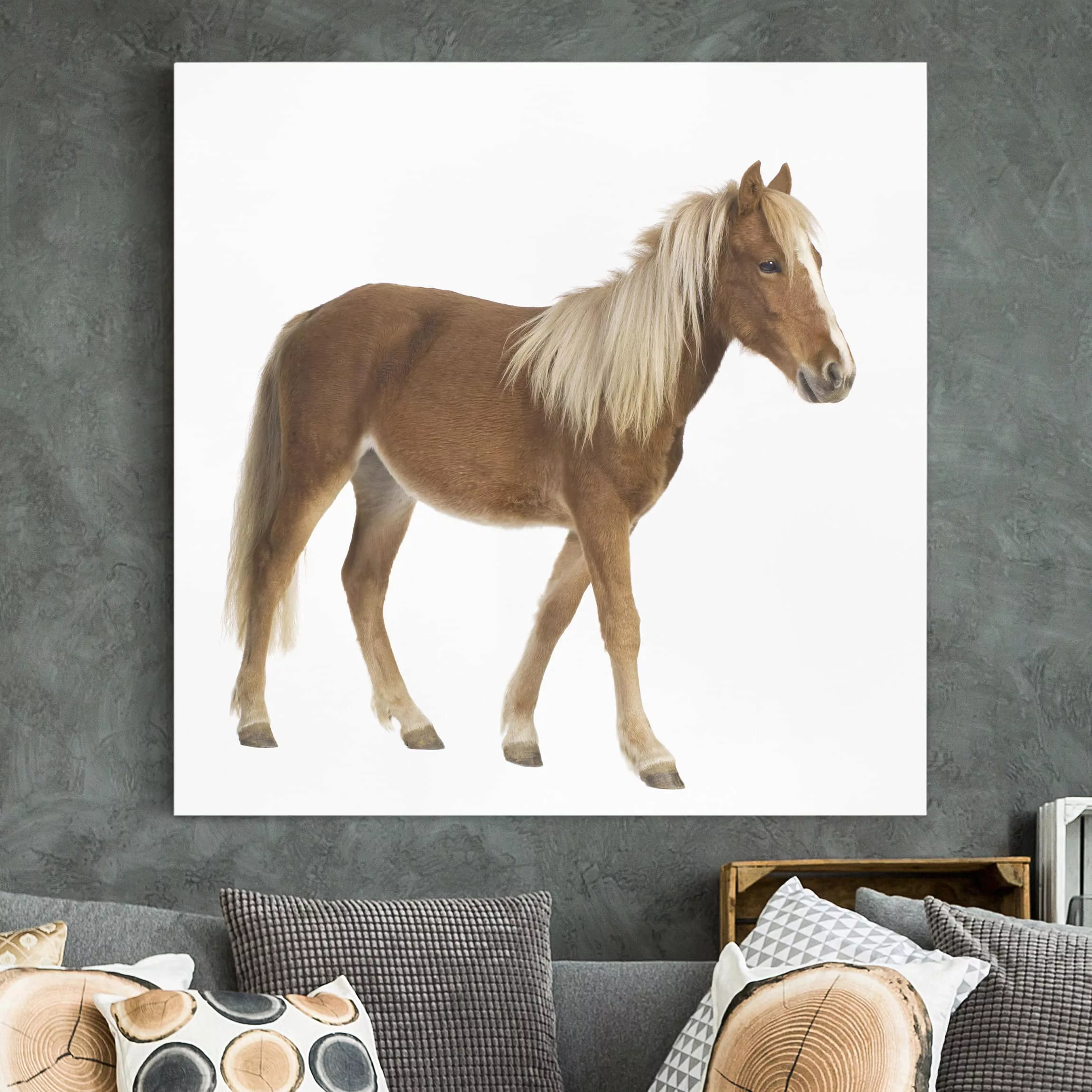 Leinwandbild Pferd - Quadrat Pony günstig online kaufen