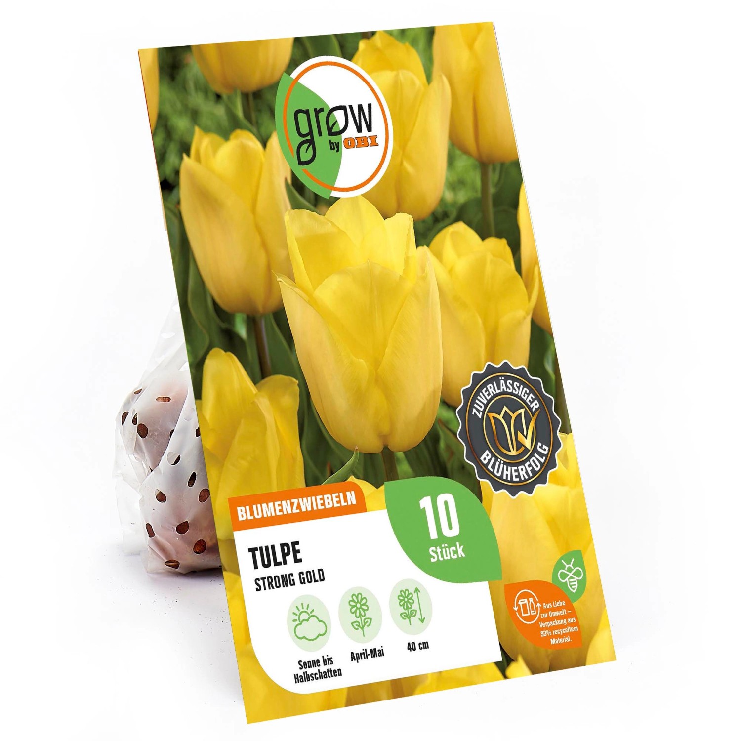 GROW by OBI Triumph-Tulpe Strong Gold Gelb 40 cm Tulipa günstig online kaufen