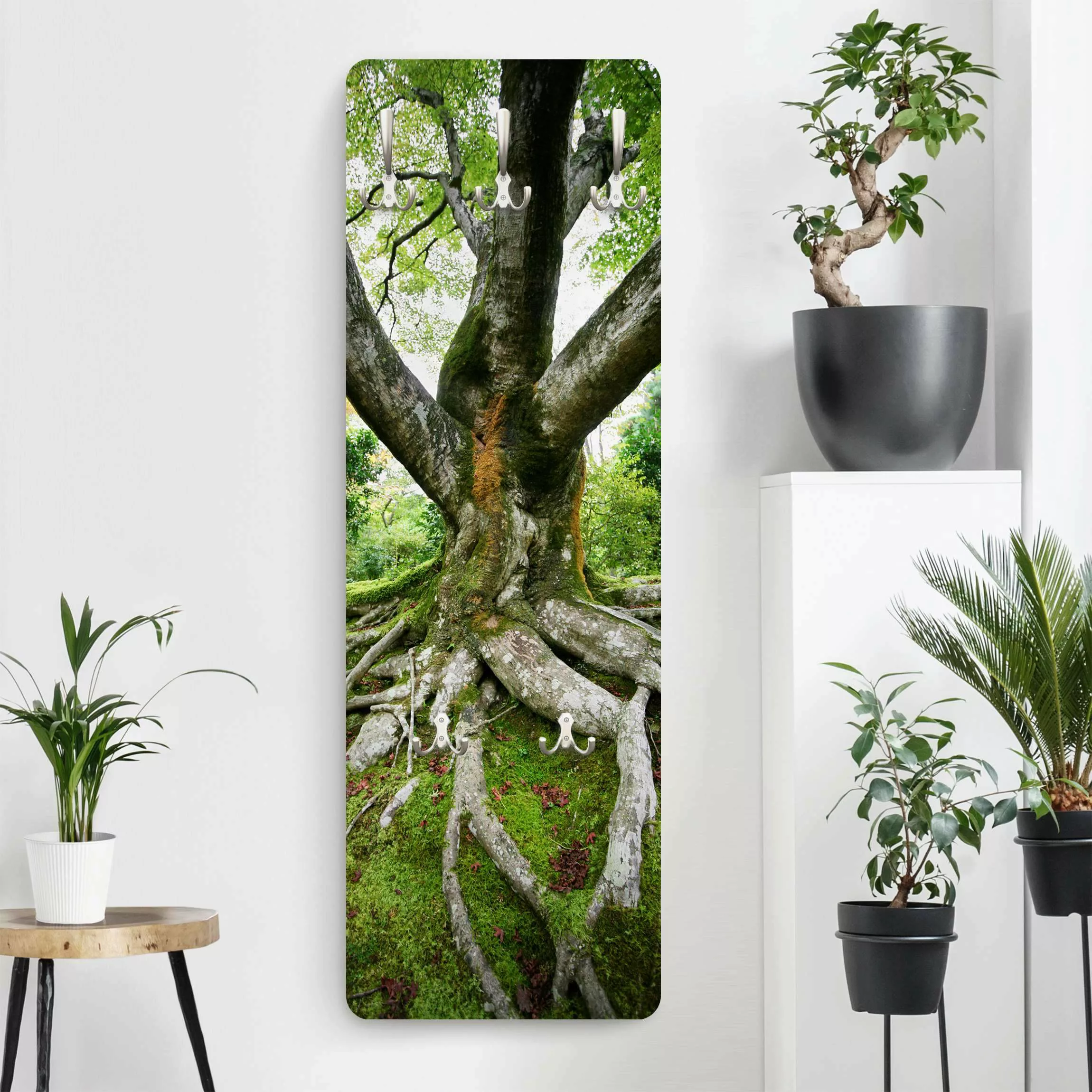 Wandgarderobe Holzpaneel Natur & Landschaft Alter Baum günstig online kaufen