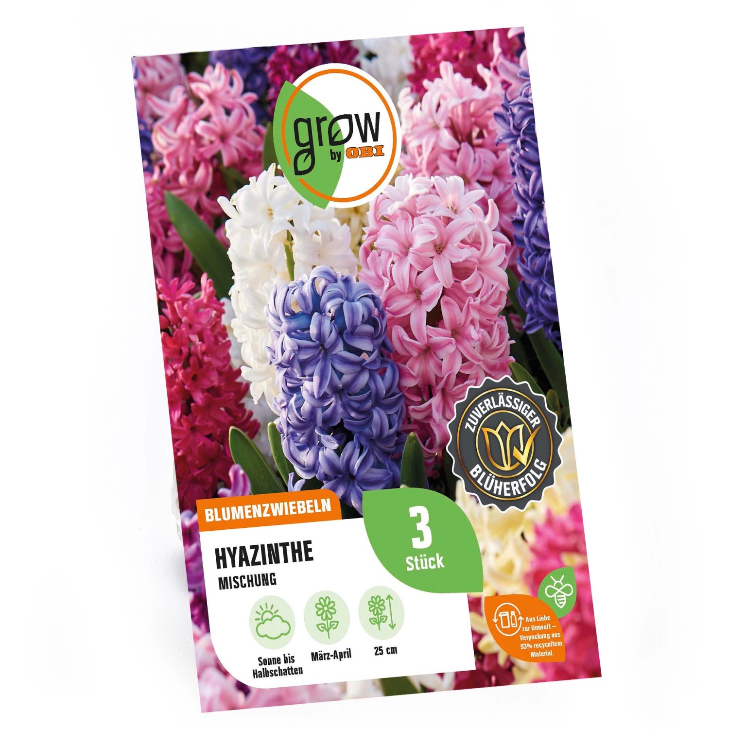 GROW by OBI Hyazinthen Mischung 25 cm Hyacinthus orientalis günstig online kaufen