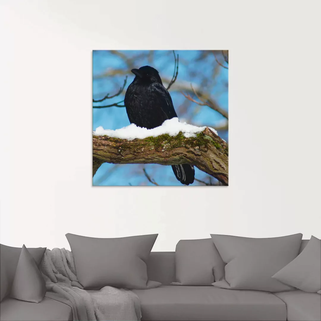 Artland Glasbild "Rabe im Winter", Vögel, (1 St.), in verschiedenen Größen günstig online kaufen