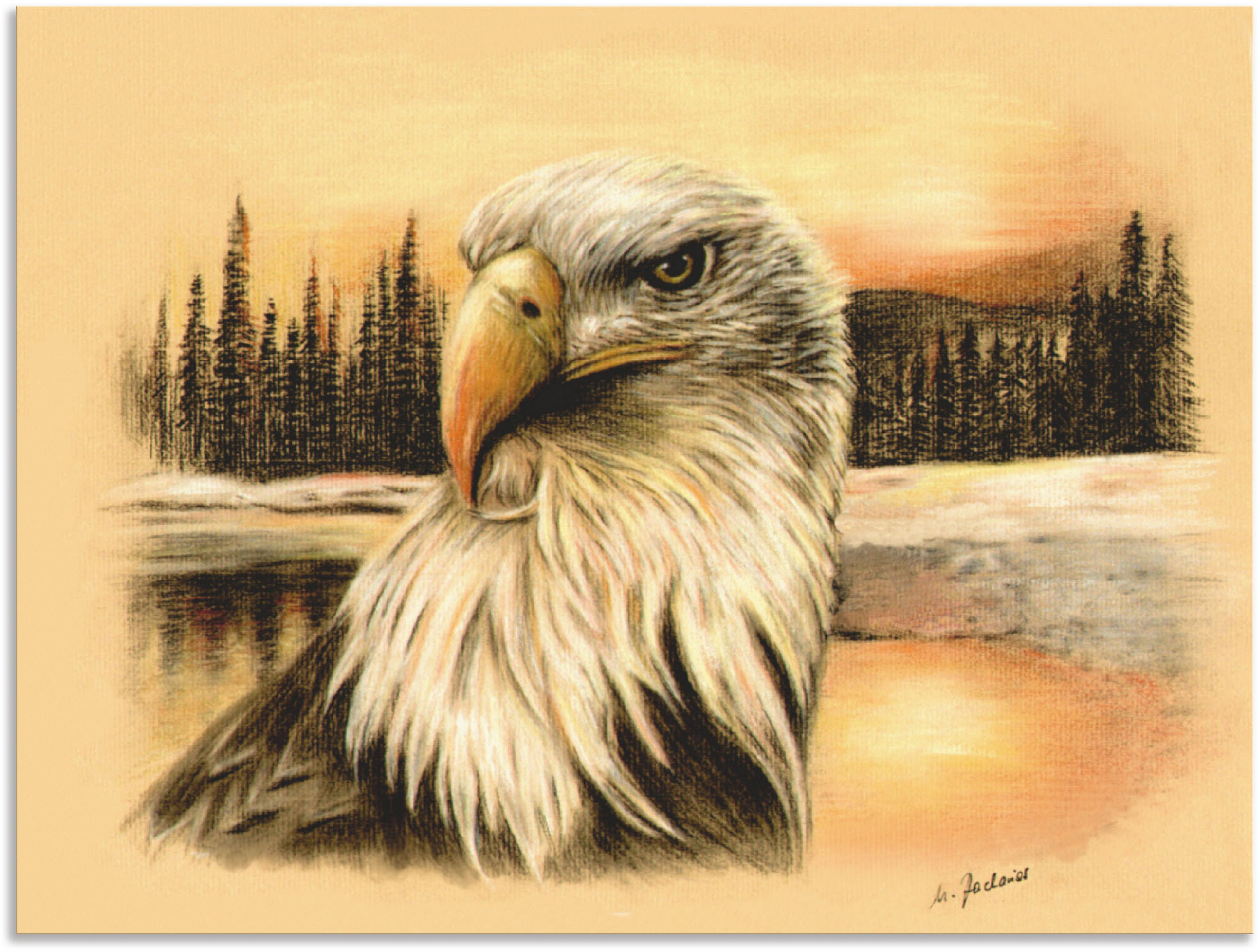 Artland Wandbild "Weißkopfseeadler handgemalt", Vögel, (1 St.), als Alubild günstig online kaufen