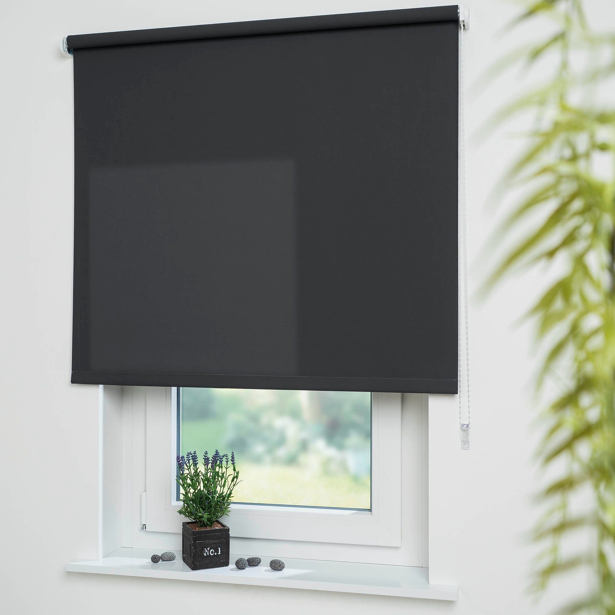 Liedeco Seitenzugrollo »Uni«, Lichtschutz, mit Bohren, freihängend, Welle 3 günstig online kaufen