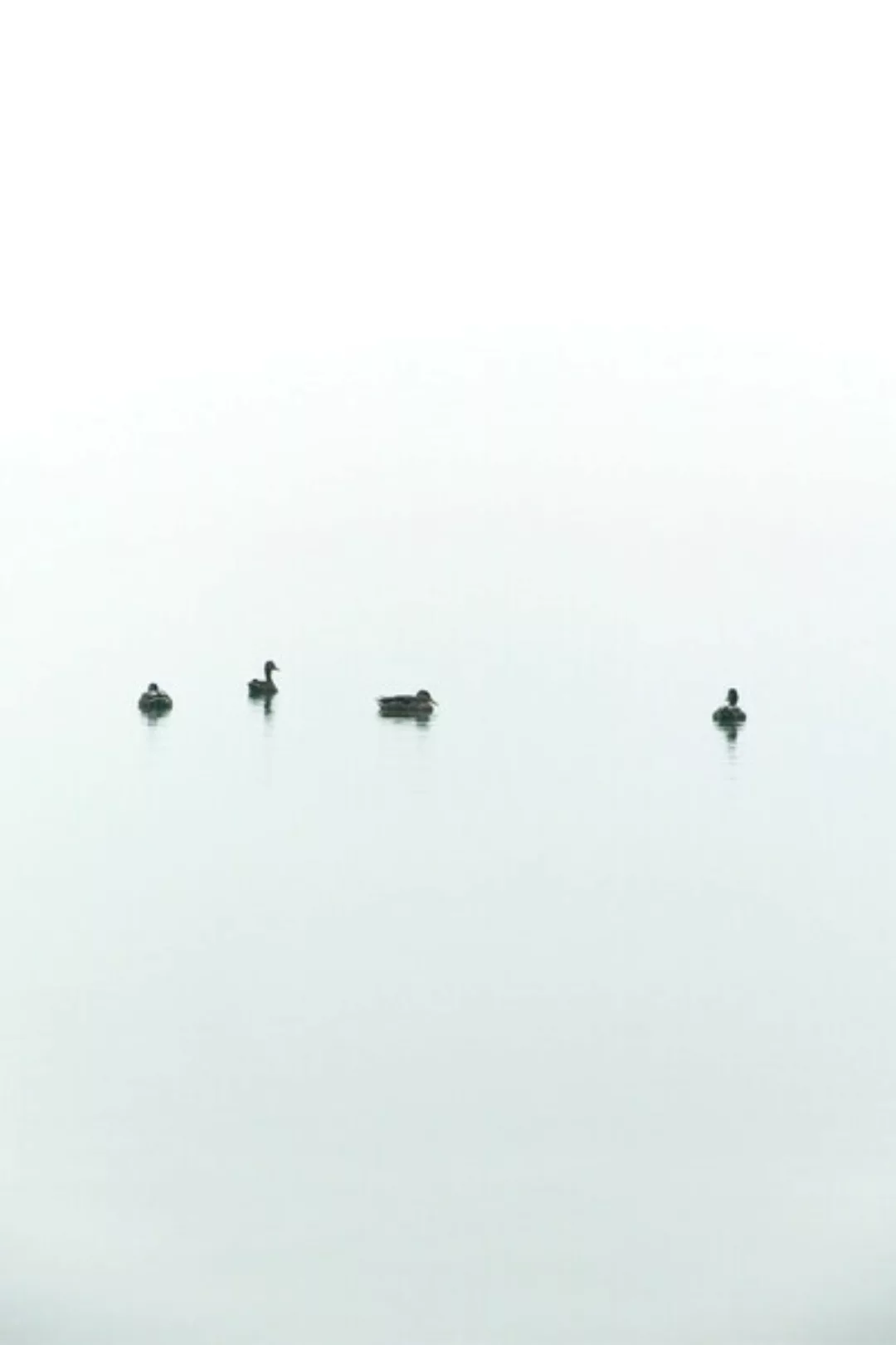 Poster / Leinwandbild - Floating Between Fog And Sea günstig online kaufen