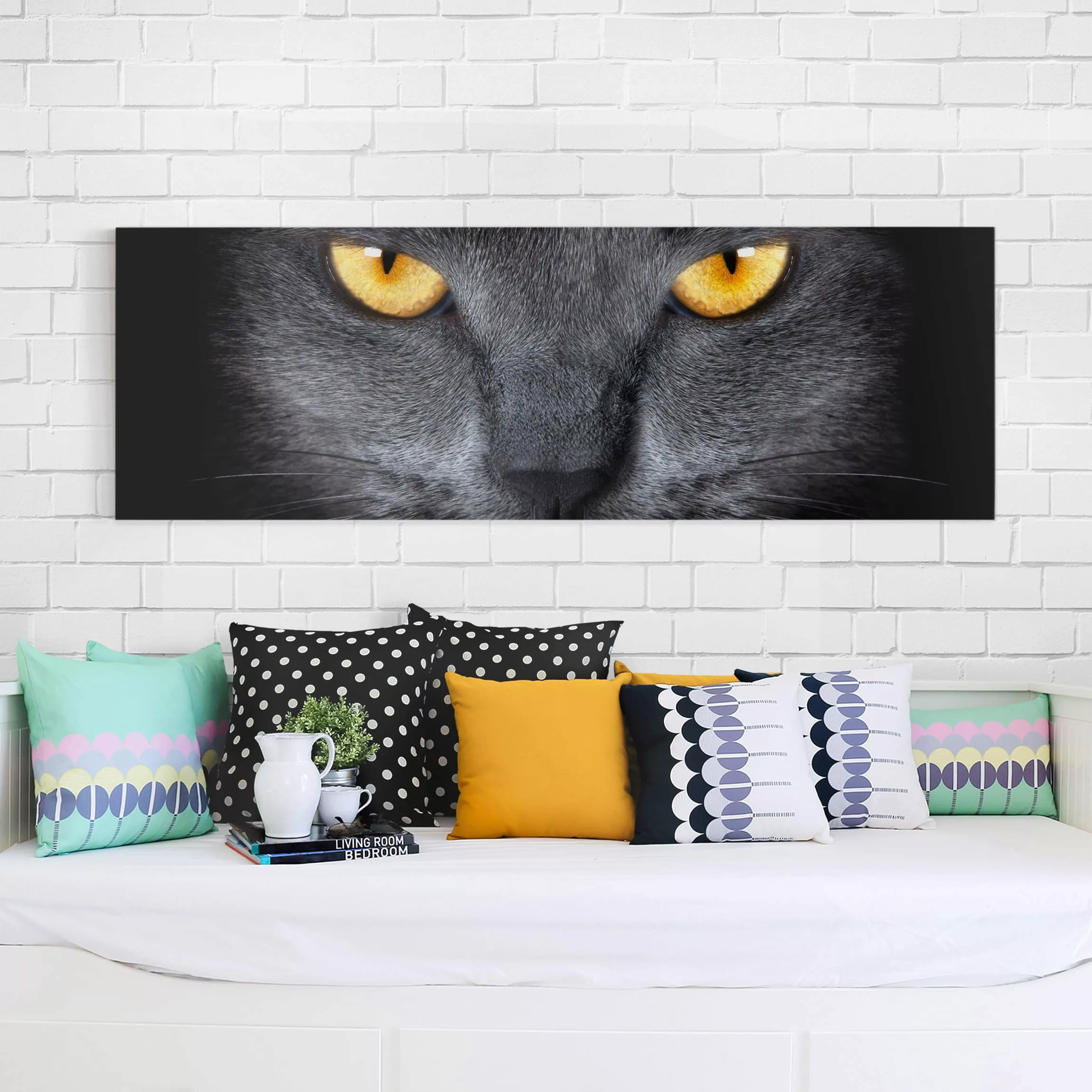 Leinwandbild Kinderzimmer - Panorama Cats Gaze günstig online kaufen