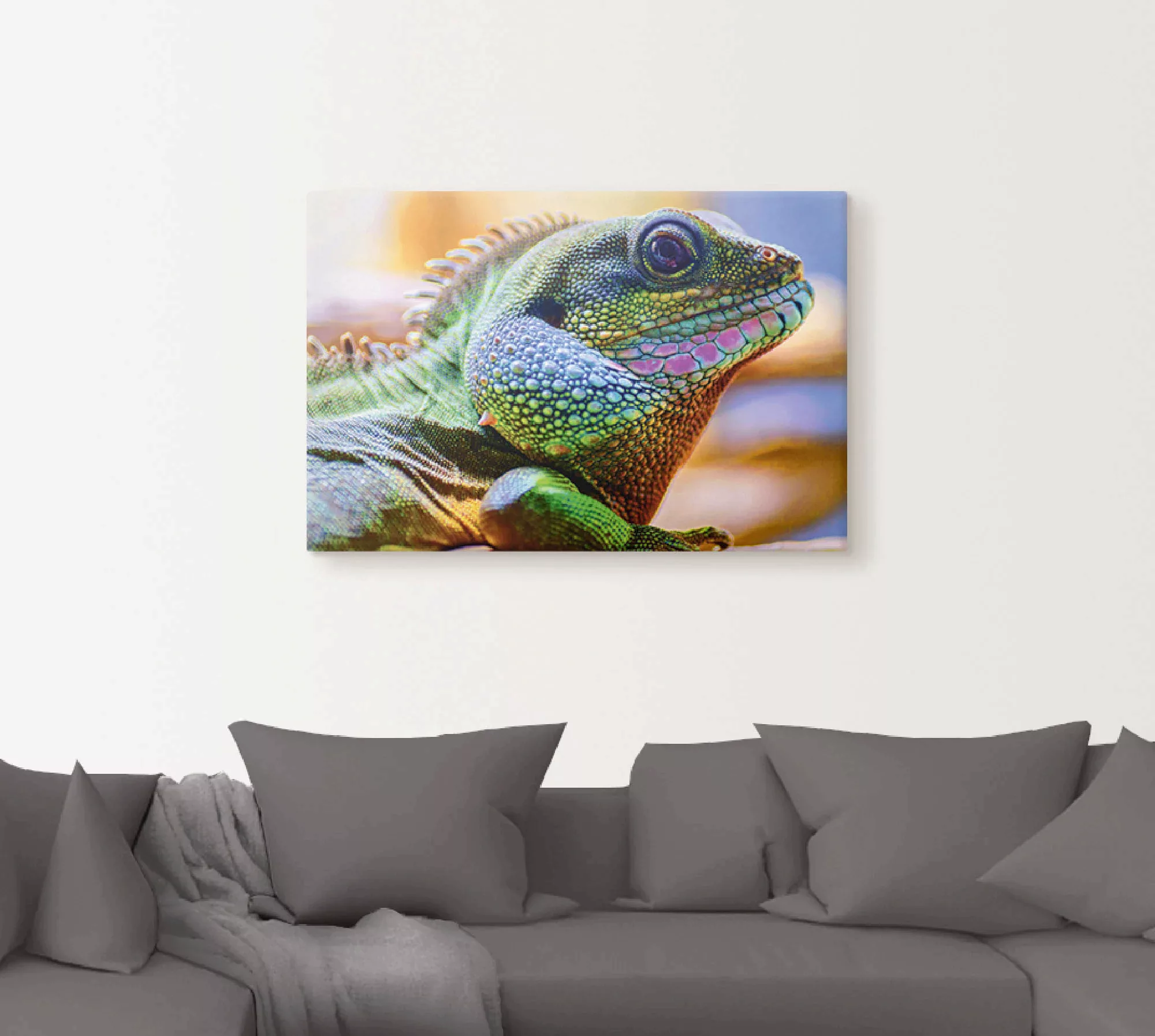 Artland Leinwandbild "Farbiger Kopf eines Leguan", Reptilien, (1 St.), auf günstig online kaufen