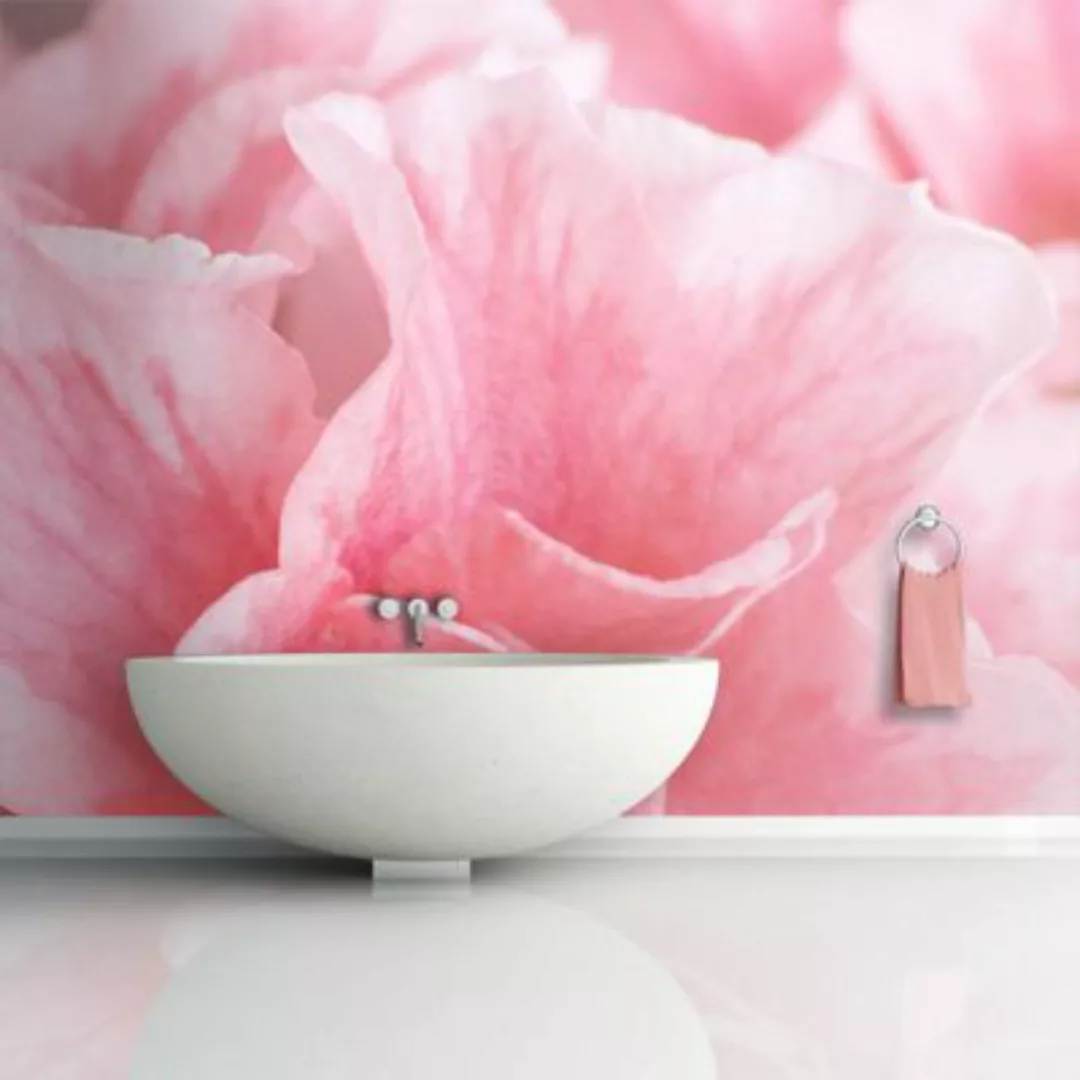 artgeist Fototapete Pinke Blüte der Azalee rosa Gr. 300 x 231 günstig online kaufen