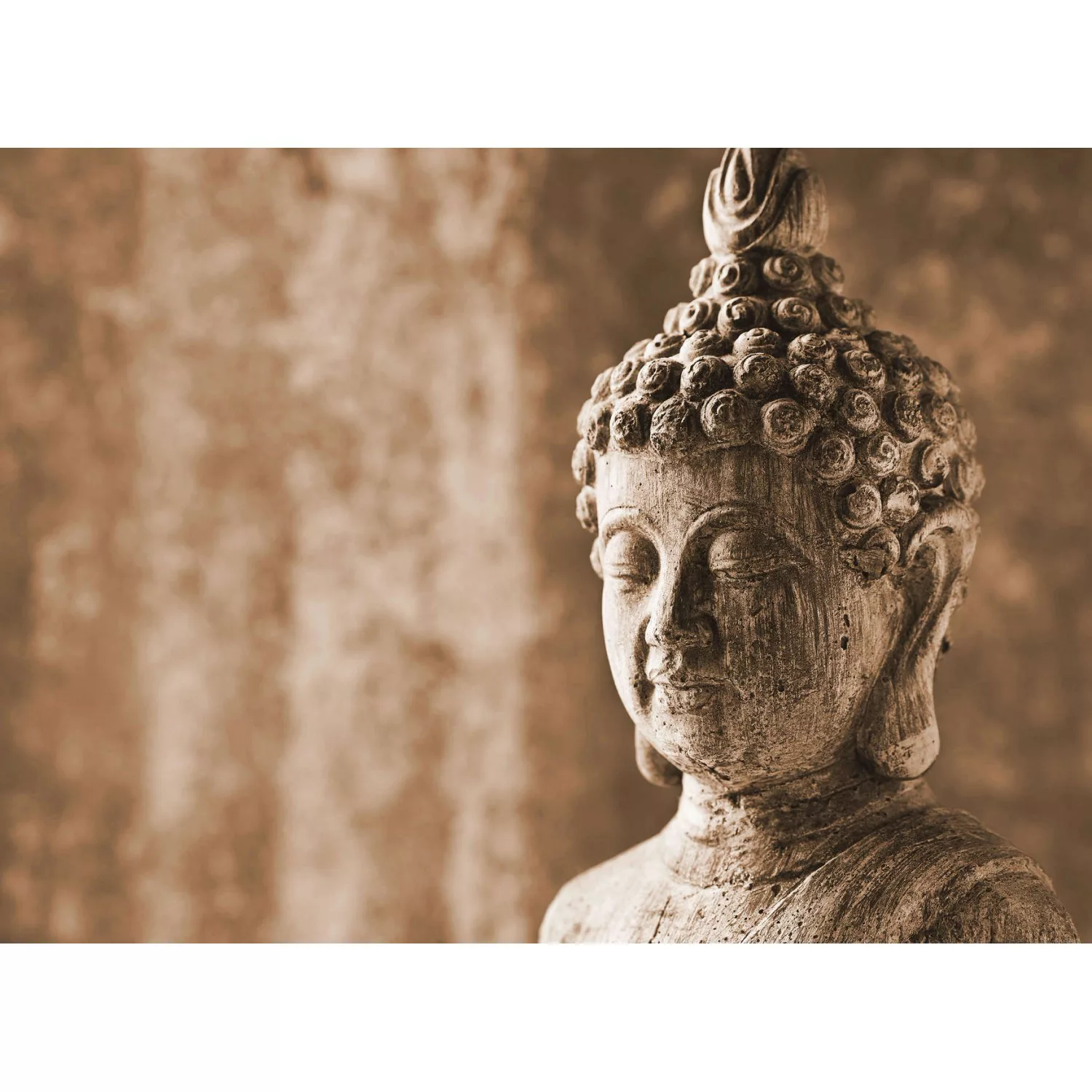 Fototapete Buddha Statue Asiatisch Braun Grau 3,50 m x 2,55 m FSC® günstig online kaufen
