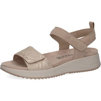 Caprice  Sandalen Sandalen günstig online kaufen