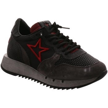 Cetti  Sneaker C1301 ANTE GOMINO BLACK günstig online kaufen