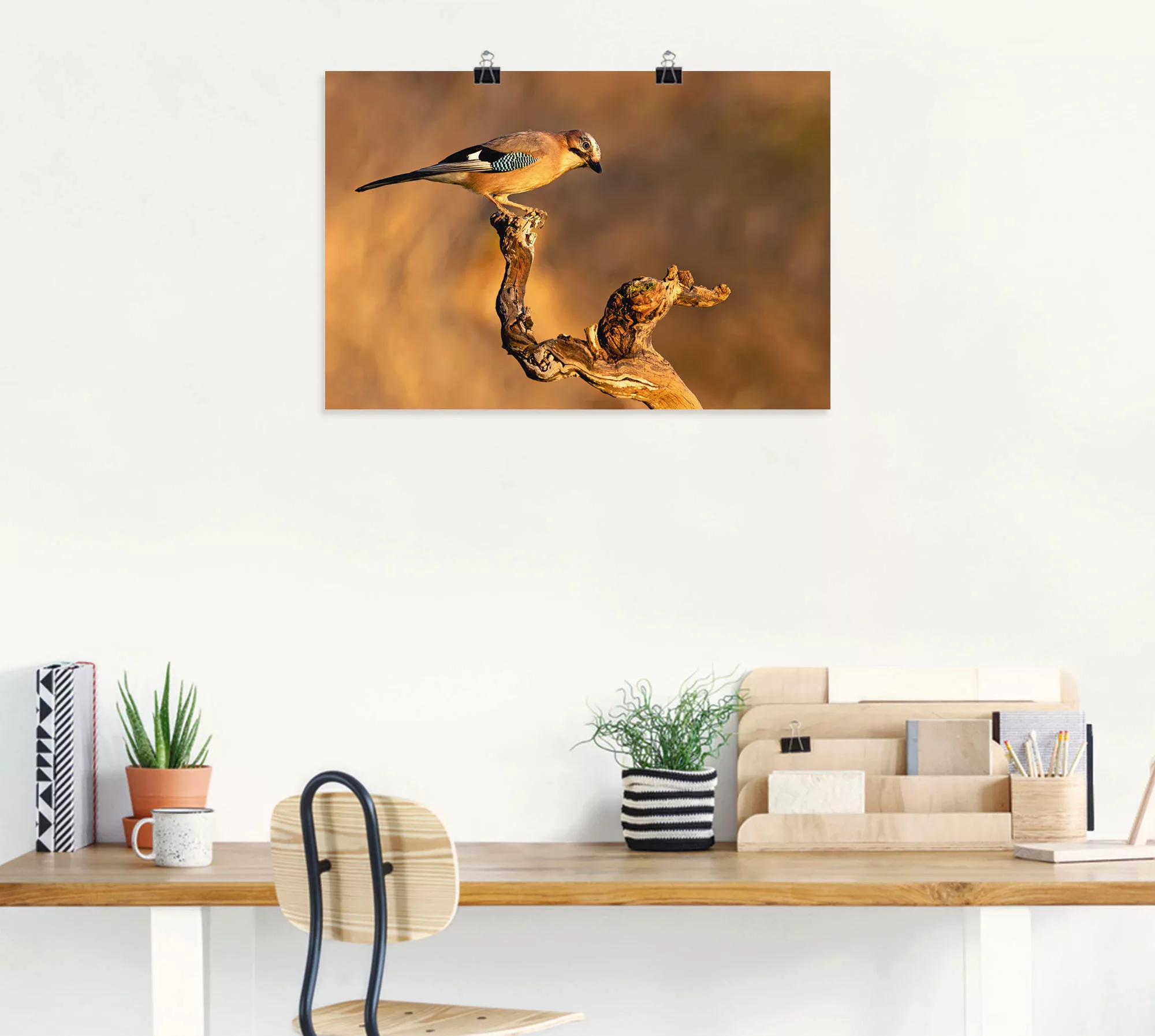 Artland Wandbild »Eichelhäher«, Vogelbilder, (1 St.), als Leinwandbild, Pos günstig online kaufen