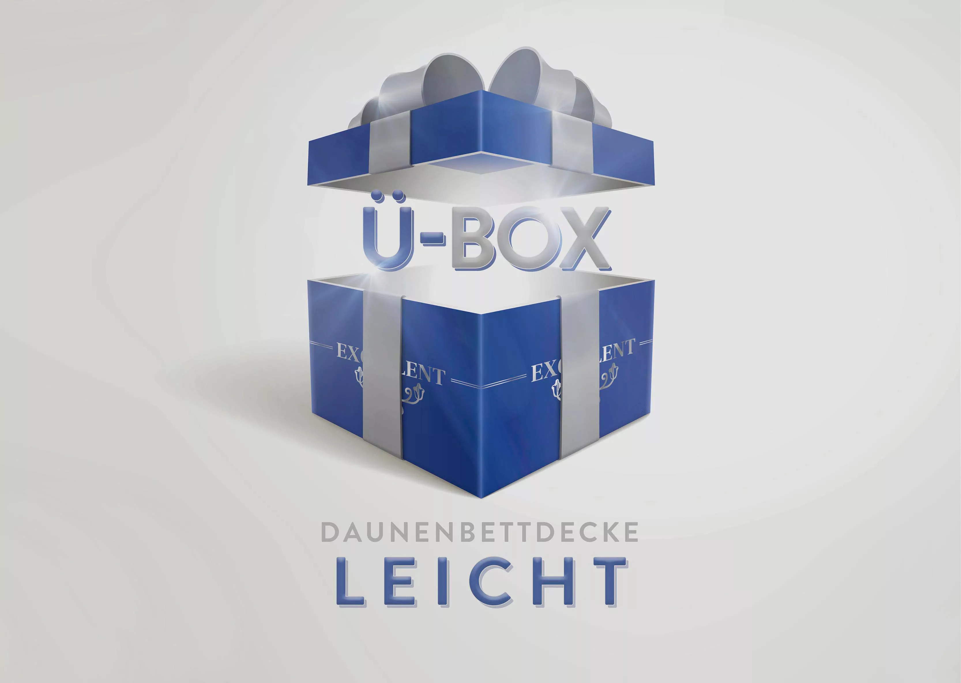 Excellent Daunenbettdecke »Überraschungsbox«, leicht, Füllung 90% Daunen, 1 günstig online kaufen