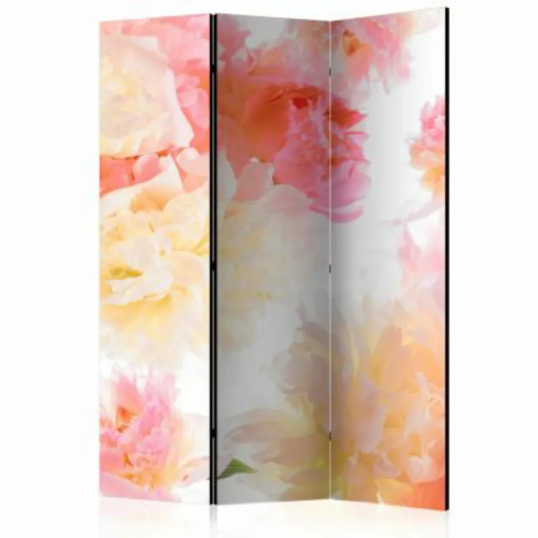 artgeist Paravent Pastel peonies [Room Dividers] mehrfarbig Gr. 135 x 172 günstig online kaufen