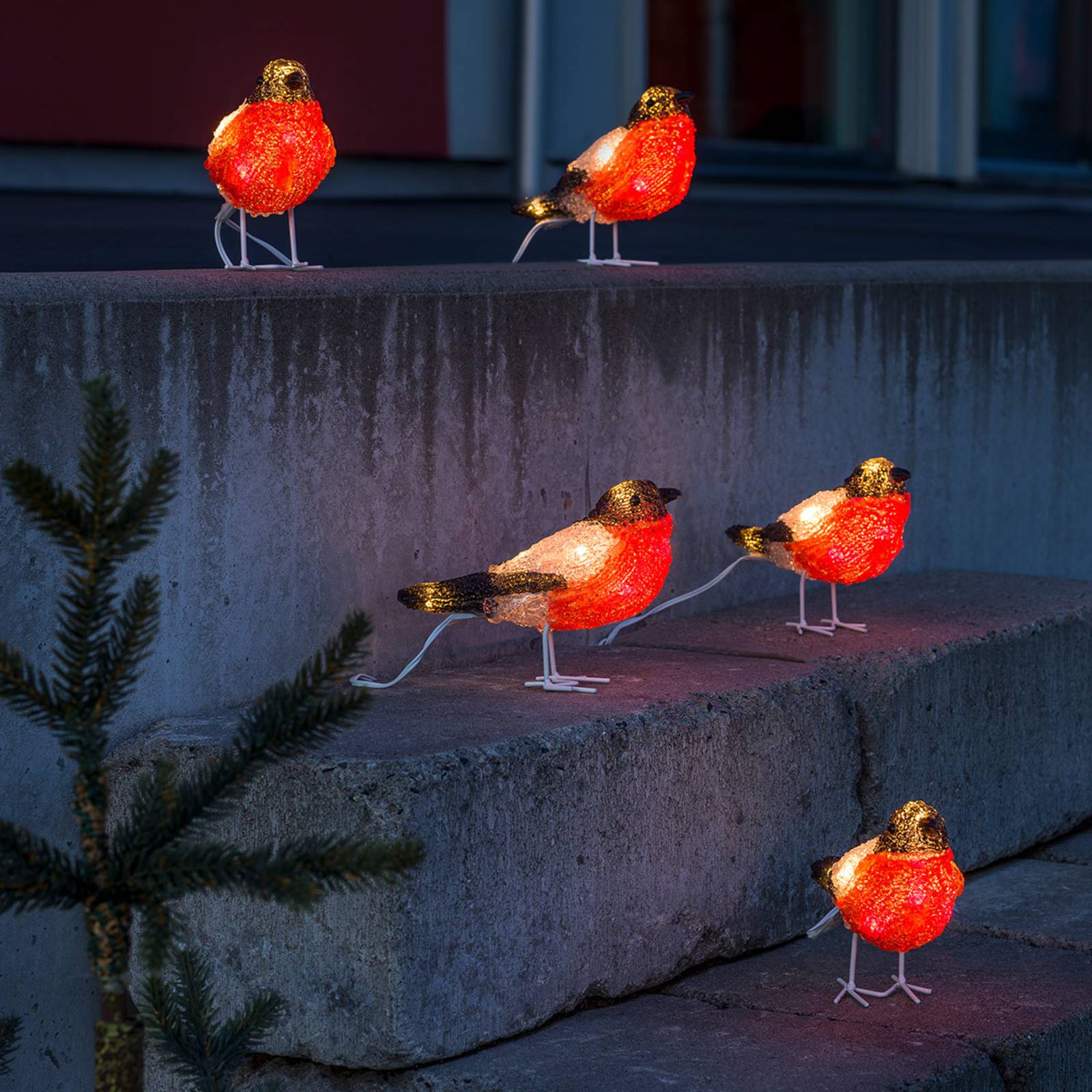 Rotkehlchen - LED-Acryl-Leuchtfiguren 5er günstig online kaufen