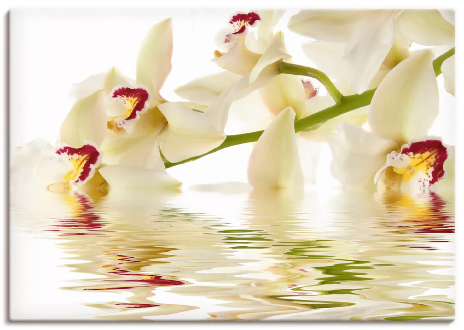 Artland Wandbild "Weiße Orchidee mit Wasserreflektion", Blumen, (1 St.), al günstig online kaufen