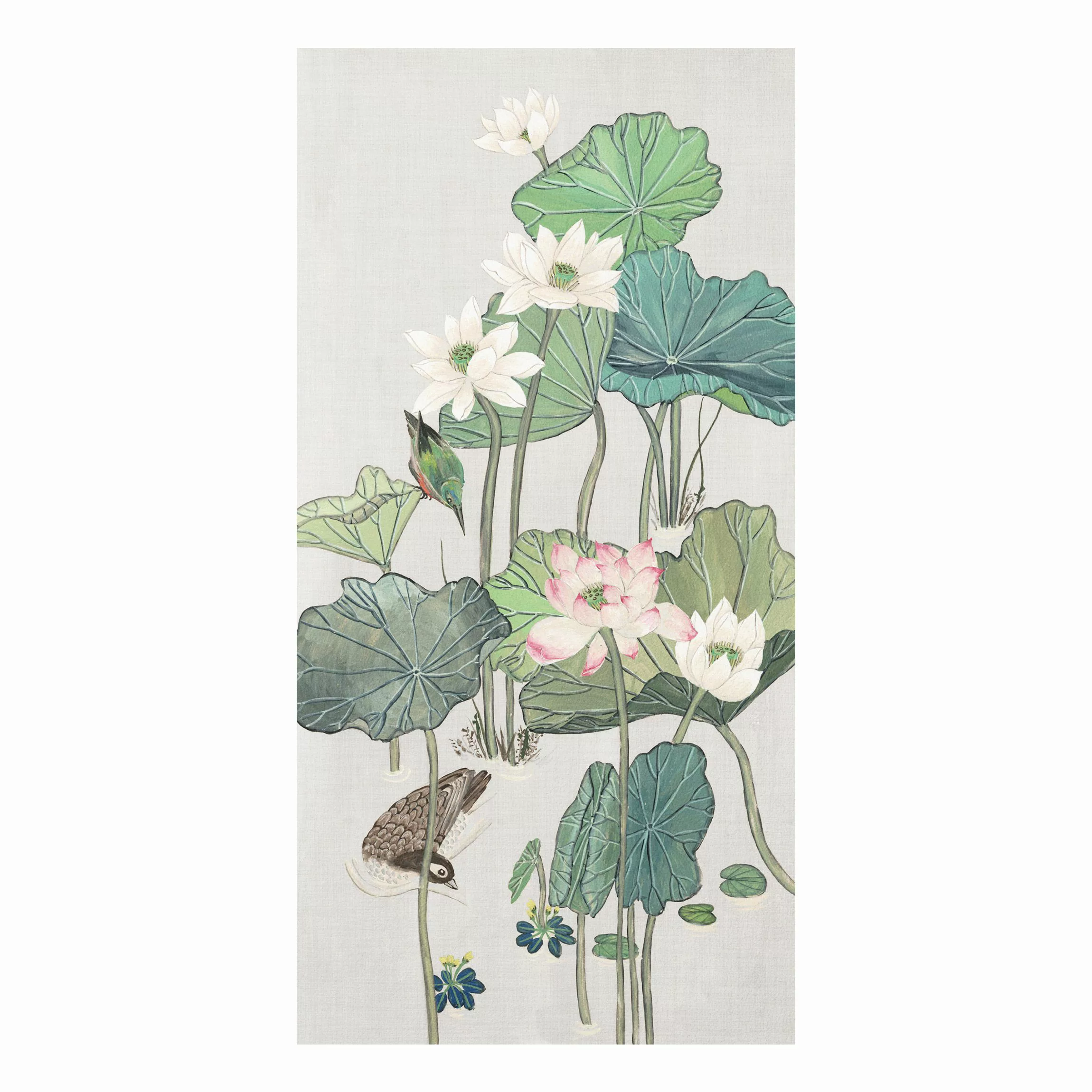 Forexbild Blumen - Hochformat Vintage Illustration Lotusblüten im Teich II günstig online kaufen