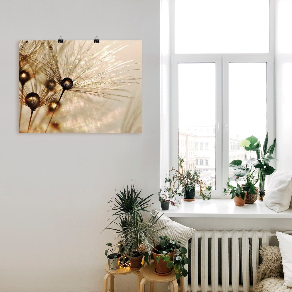 Artland Wandbild »Pusteblume Goldener Tropfen«, Blumen, (1 St.), als Alubil günstig online kaufen