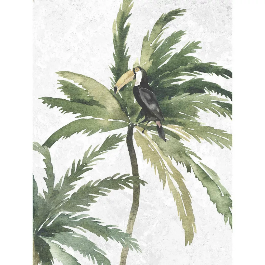 Komar Poster "Tropical Toucan", (1 St.), Kinderzimmer, Schlafzimmer, Wohnzi günstig online kaufen