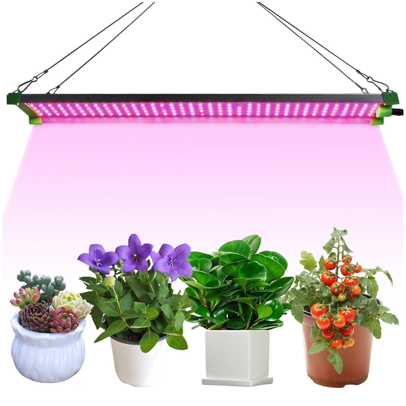 Rosnek Pflanzenlampe LED Pflanzenllicht Vollspektrum 85W günstig online kaufen