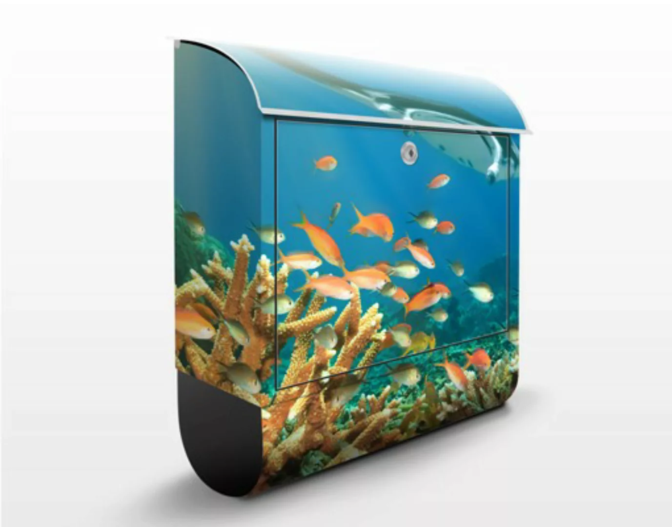 Briefkasten Tiere Korallenriff günstig online kaufen