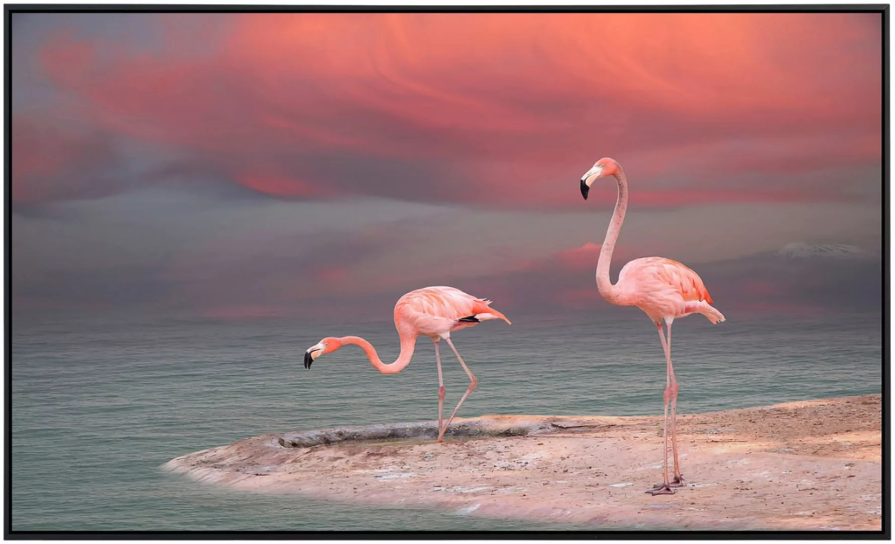 Papermoon Infrarotheizung »Flamingo« günstig online kaufen
