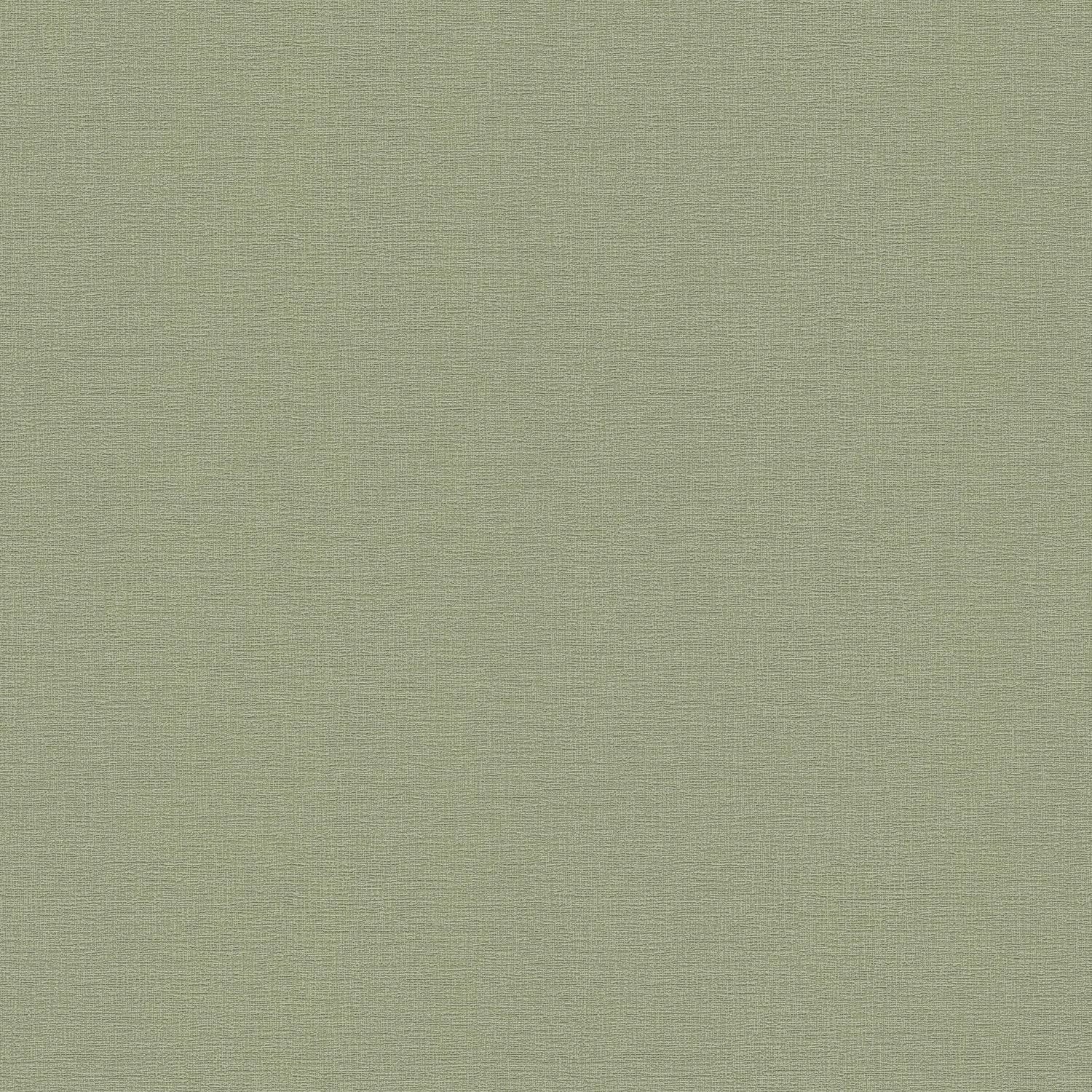 PROFHOME 367137-GU Ton-in-Ton Tapete Uni Matt Grün 0,53 m x 10,05 m 5,33 m2 günstig online kaufen