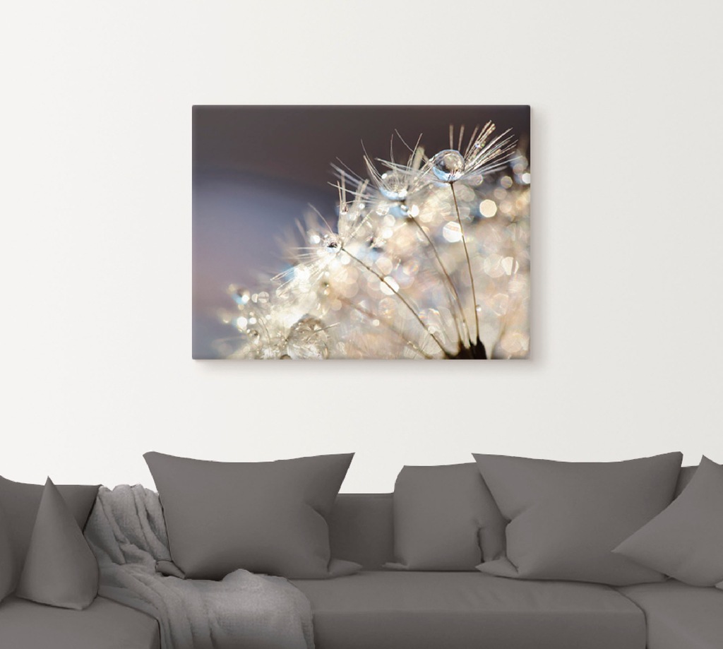Artland Wandbild "Pusteblume Fantasie", Blumen, (1 St.), als Alubild, Outdo günstig online kaufen
