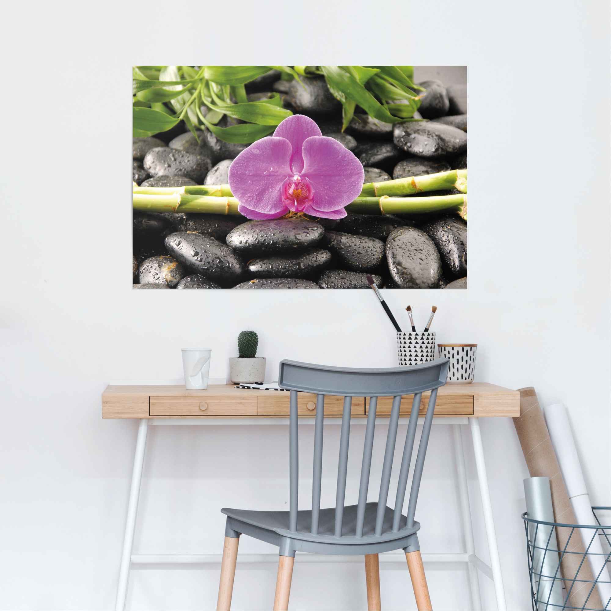 Reinders! Poster »Orchidee«, (1 St.) günstig online kaufen