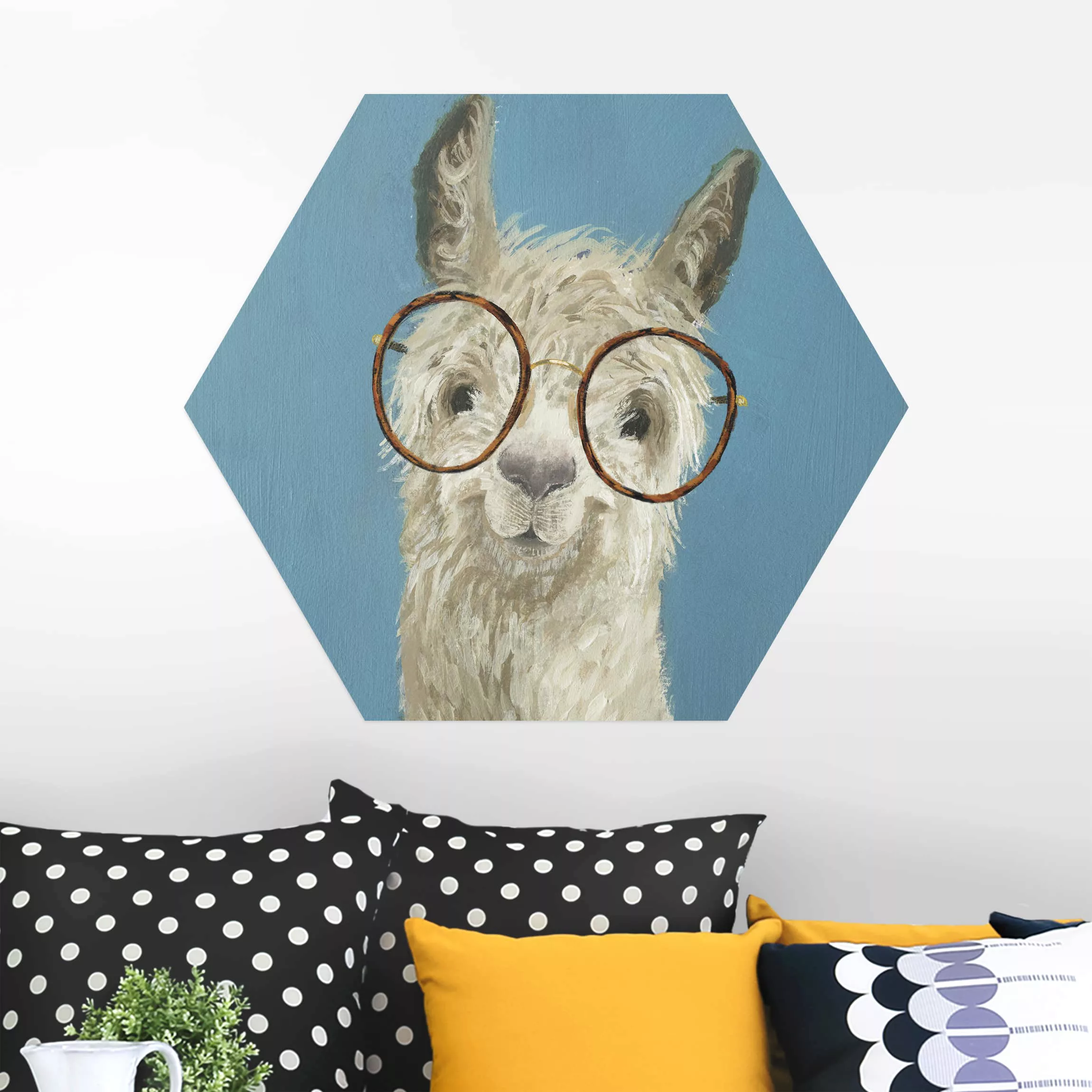 Hexagon-Alu-Dibond Bild Tiere Lama mit Brille I günstig online kaufen