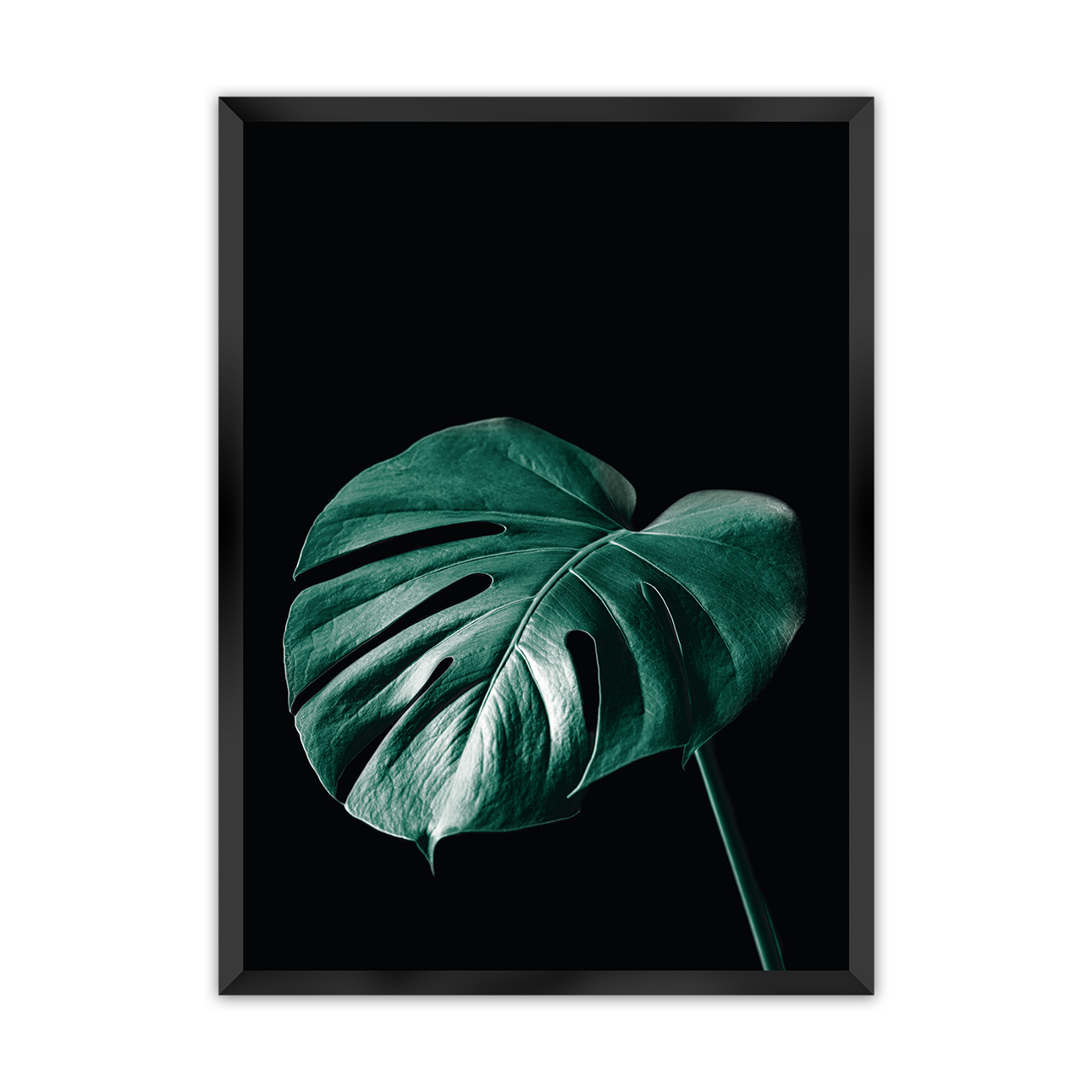 Poster Dark Monstera, 50 x 70 cm, Rahmen wählen: schwarz günstig online kaufen