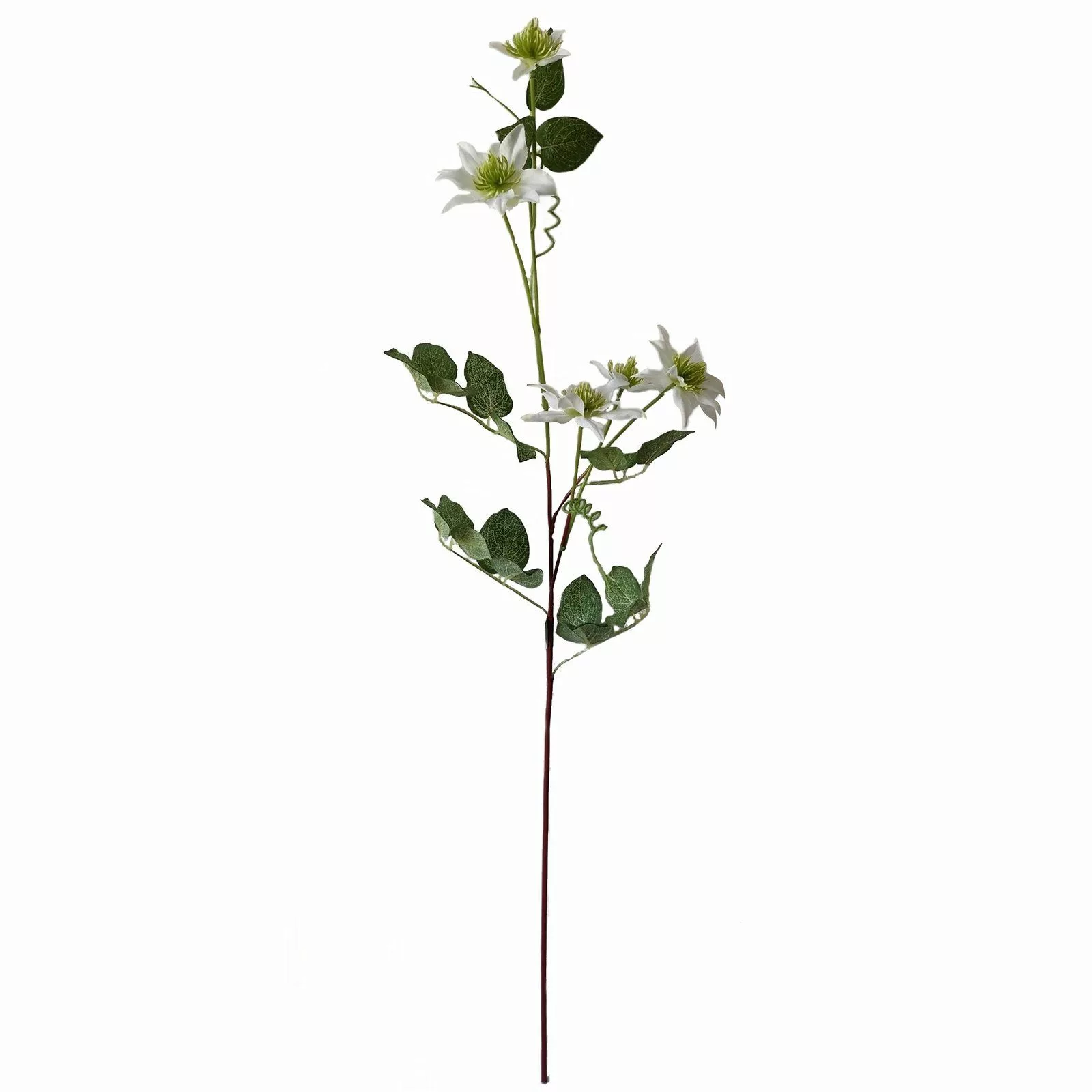 Kunstblume Frühlingsblume Weiß Kunstblume Flora unbekannt, günstig online kaufen