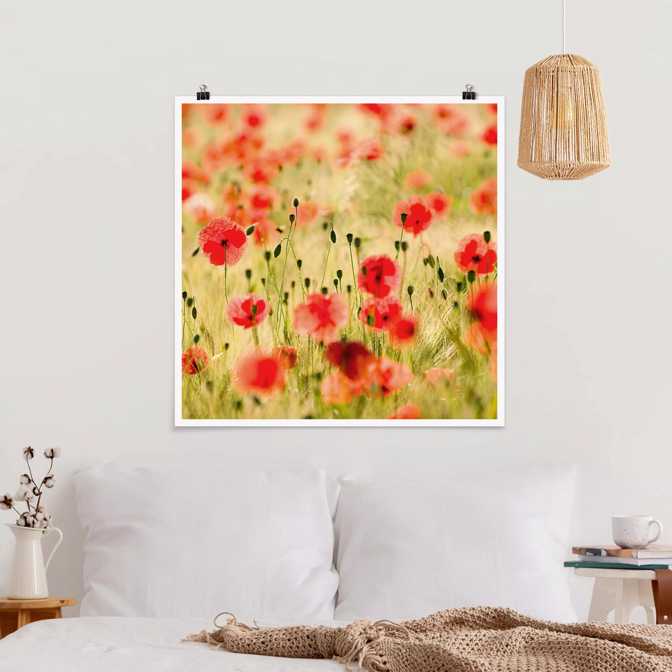 Poster Blumen - Quadrat Summer Poppies günstig online kaufen