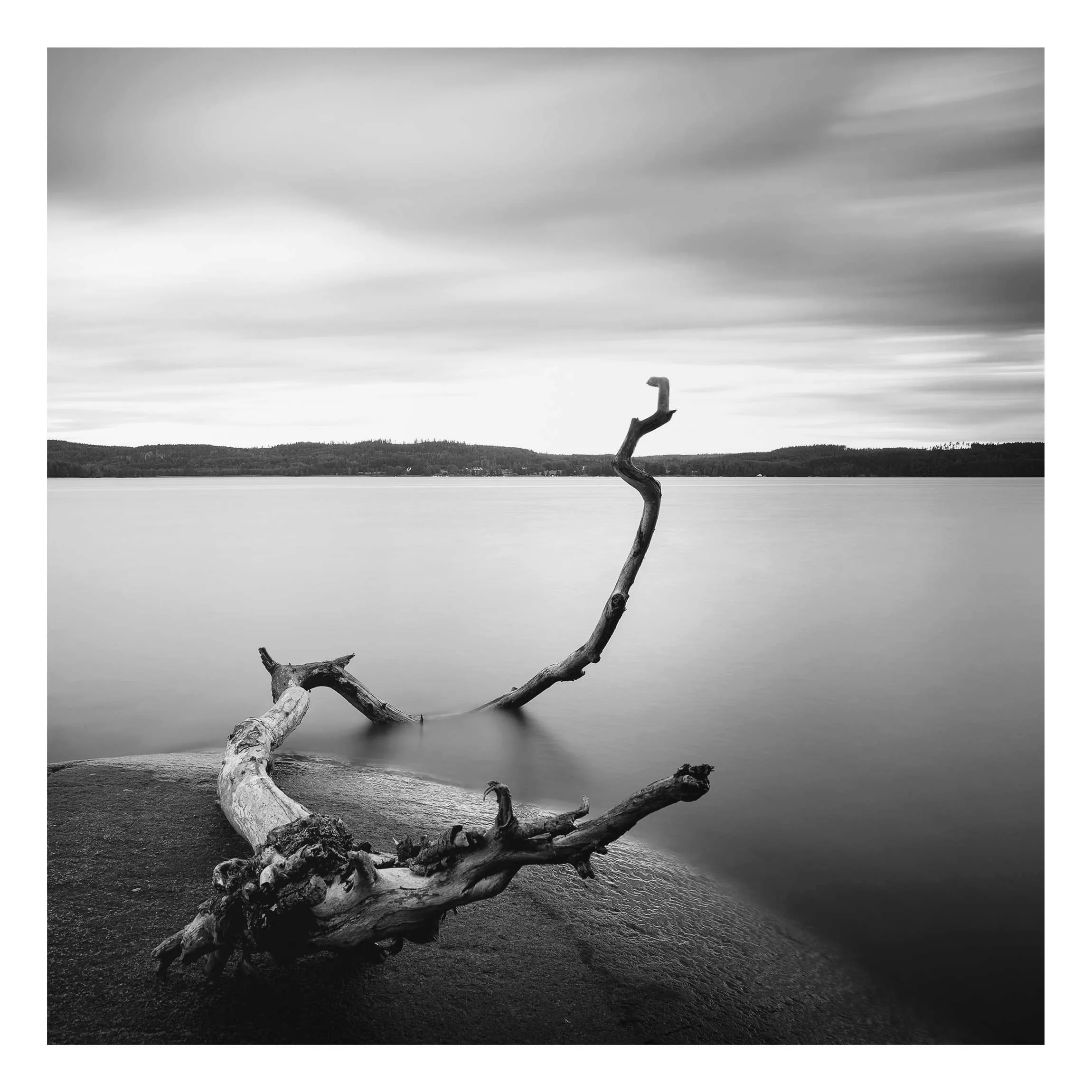 Alu-Dibond Bild Schwarz-Weiß - Quadrat Sonnenuntergang am See schwarz-weiß günstig online kaufen