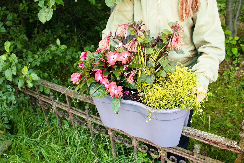 KHW Balkonkasten "Flowerclip XXL", (Set, 2 St.), BxTxH: 57,5x27,7x27 cm günstig online kaufen