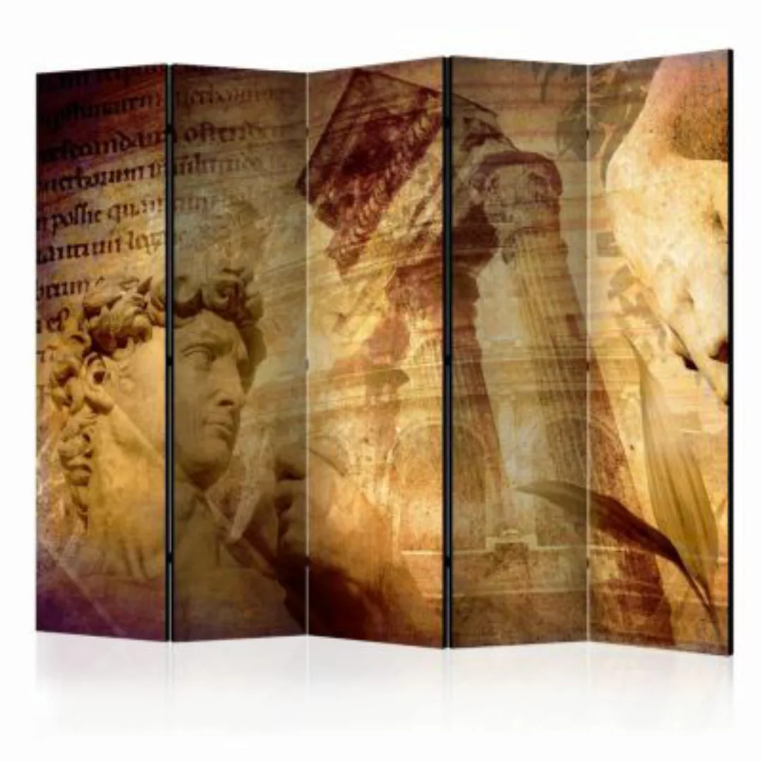 artgeist Paravent Greek collage II [Room Dividers] braun Gr. 225 x 172 günstig online kaufen