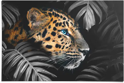 Reinders! Poster »Leopard Jungle - Eyecatcher - Tiermotiv - Modern«, (1 St. günstig online kaufen